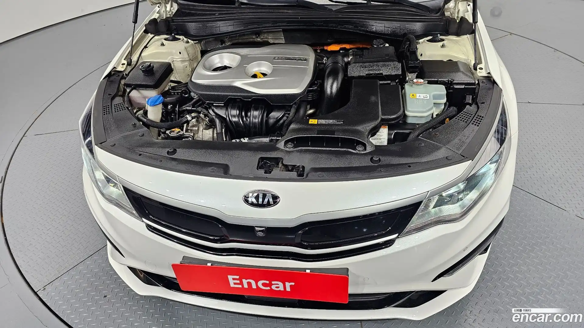 K5 Kia 2019.5-OUTER-006