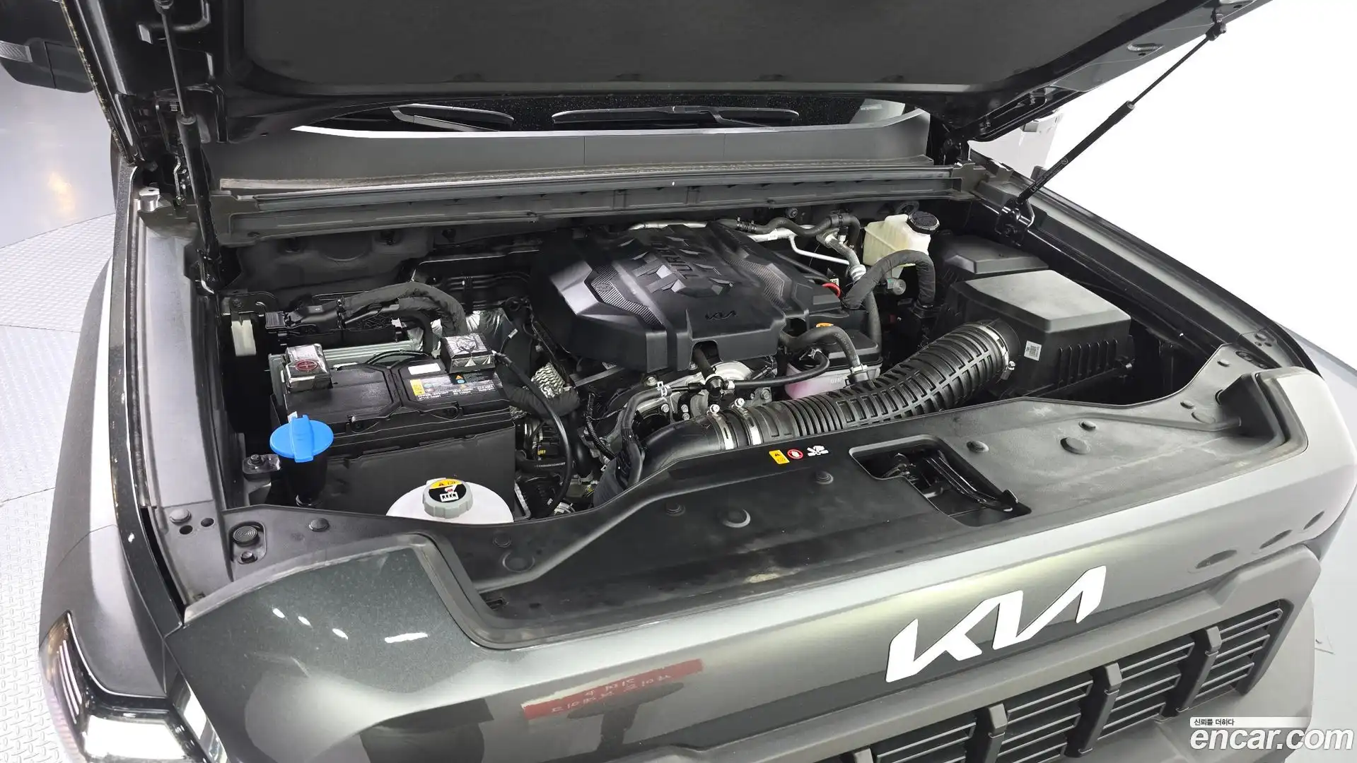 Tasman Kia 2025.3-OUTER-006