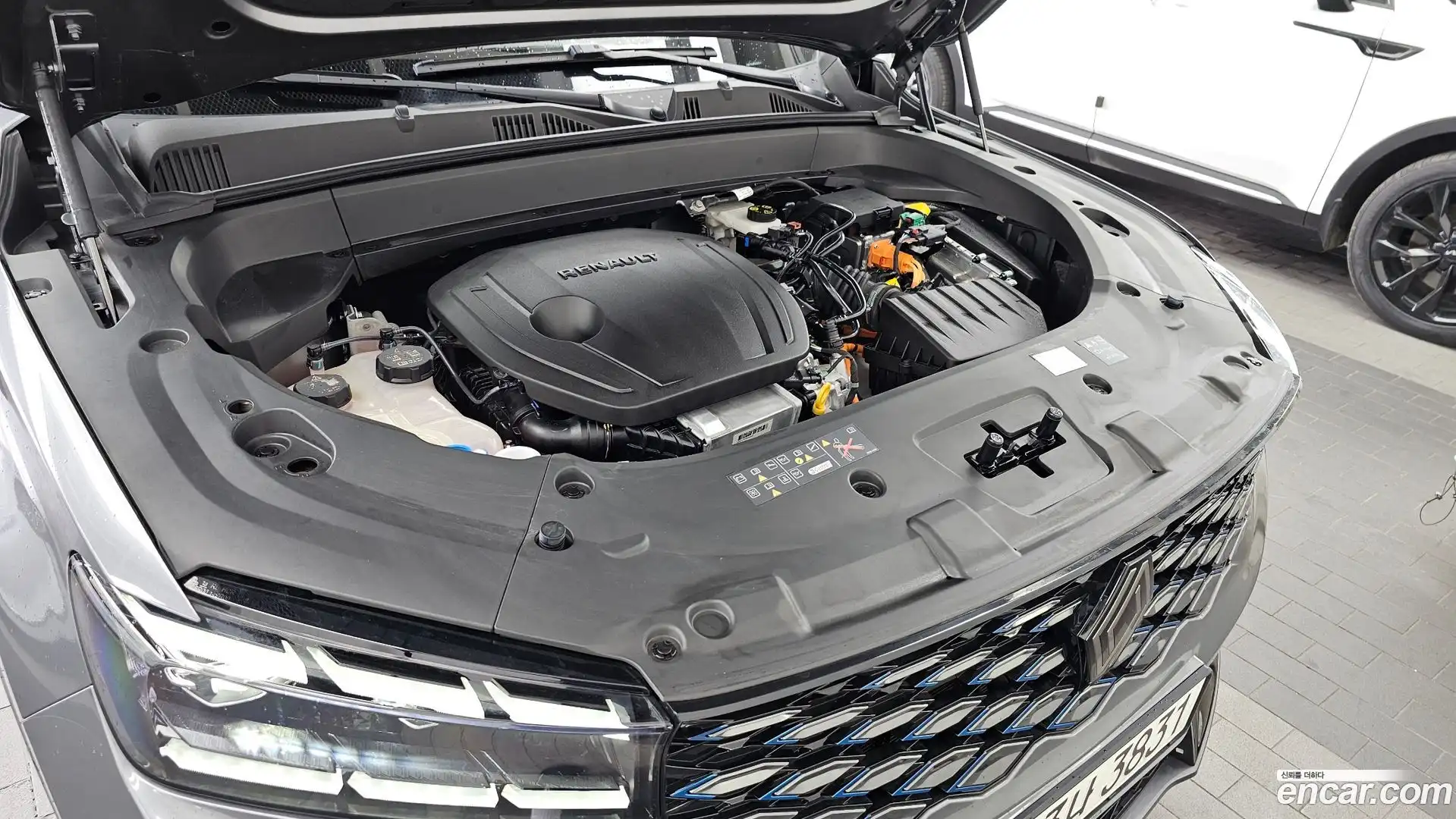 Grand Koleos Renault Korea 2024.8-OUTER-006