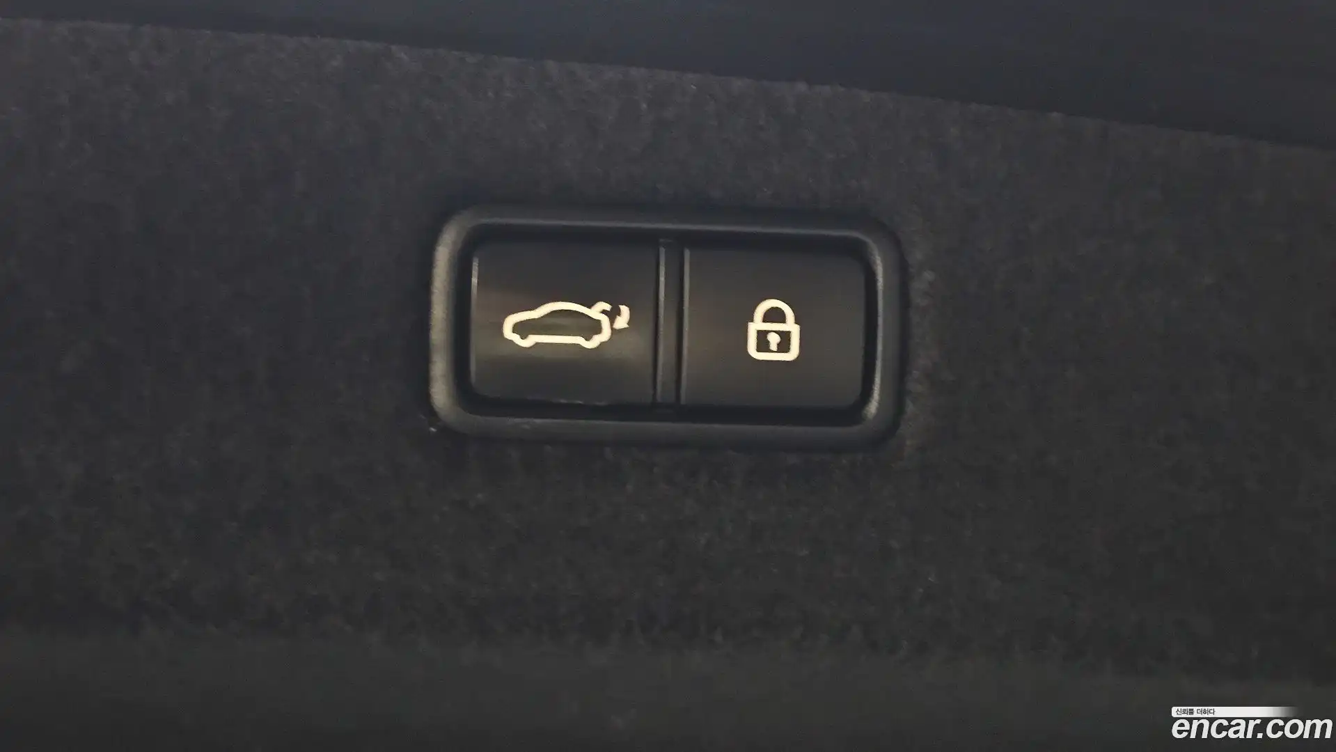 G90 Genesis 2020.3-OPTION-020