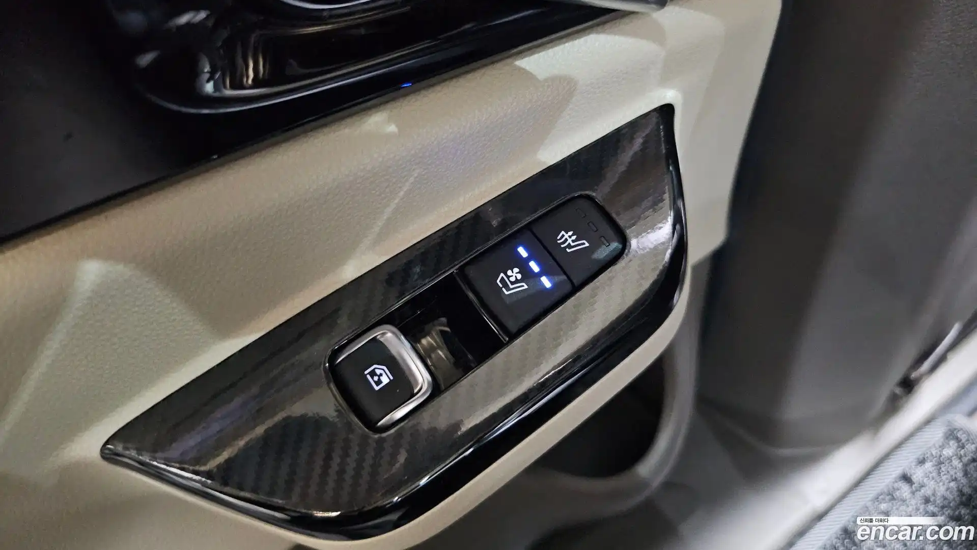 Canival Kia 2021.3-OPTION-021