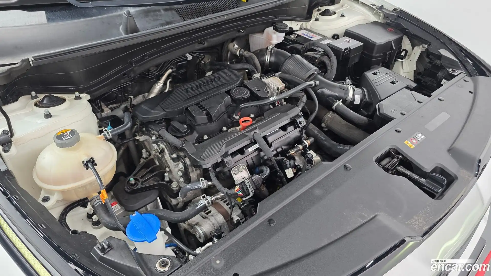 Sportage Kia 2022.5-OUTER-006