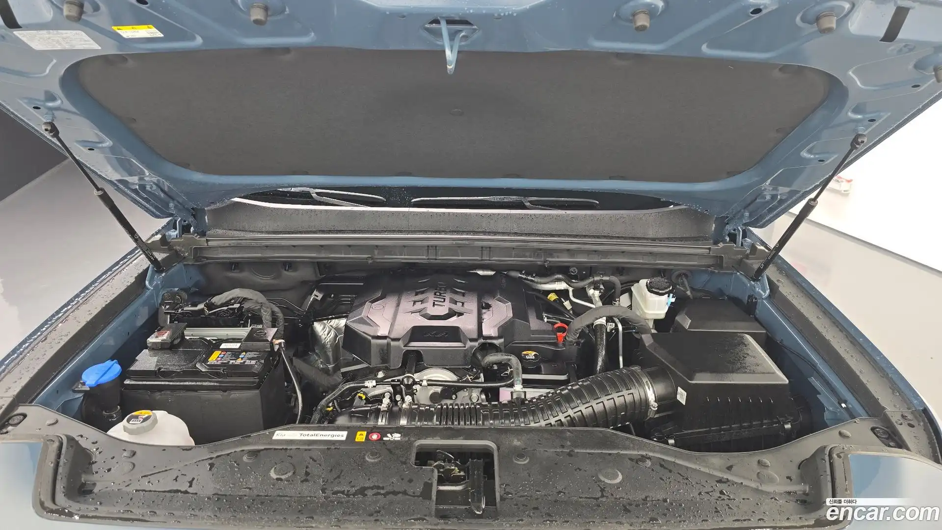 Tasman Kia 2025.7-OUTER-006
