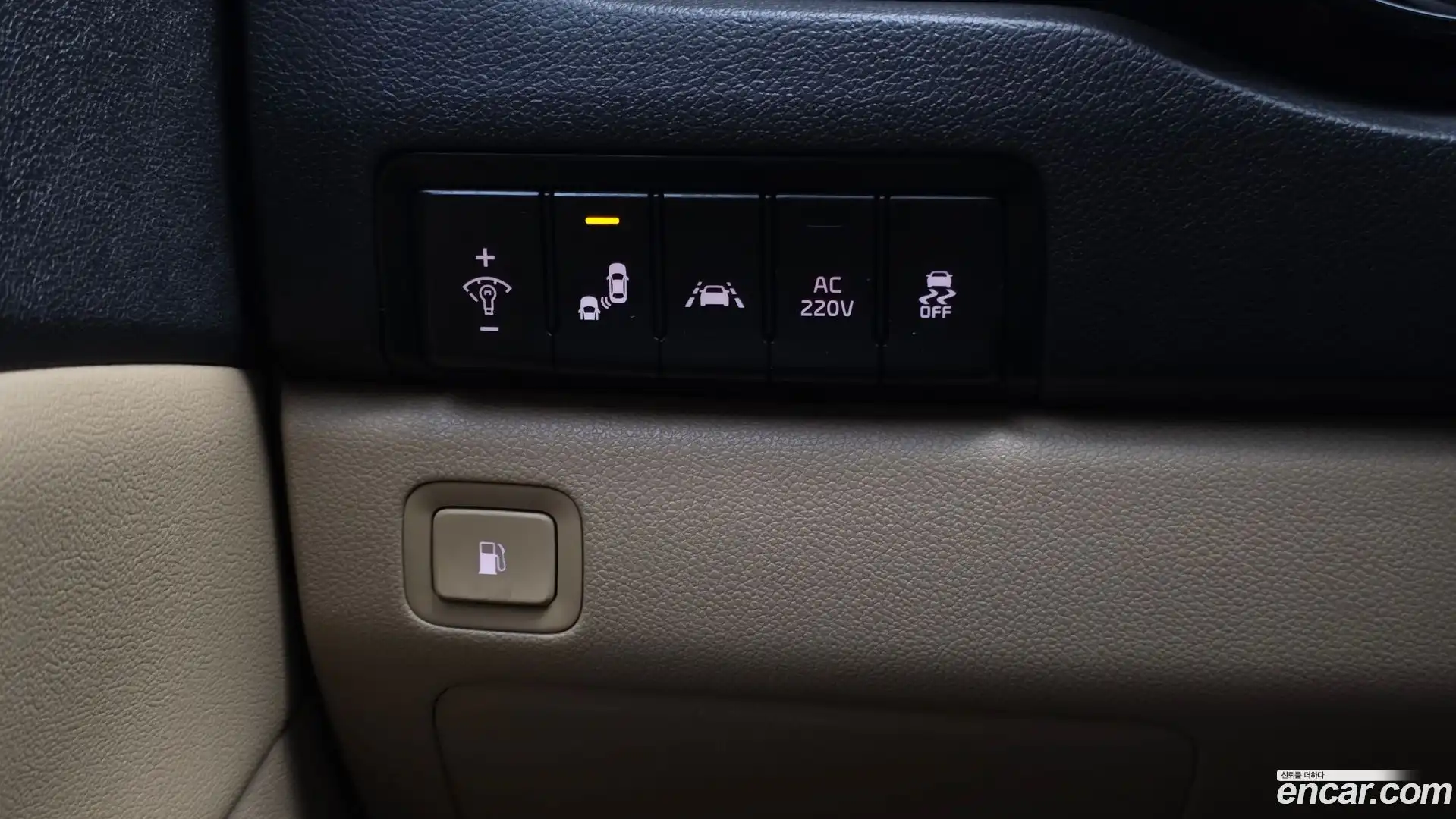 Canival Kia 2019.10-OPTION-022