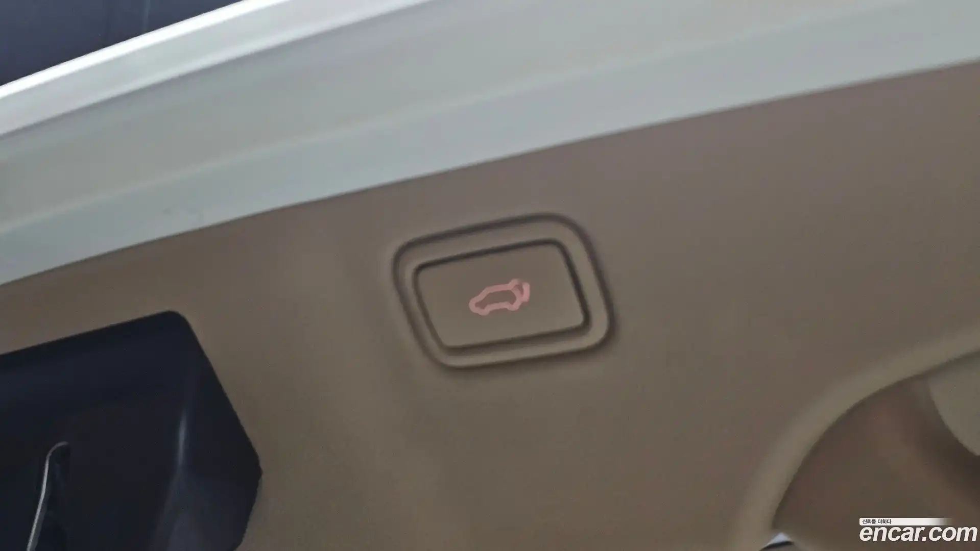 Canival Kia 2018.4-OPTION-021