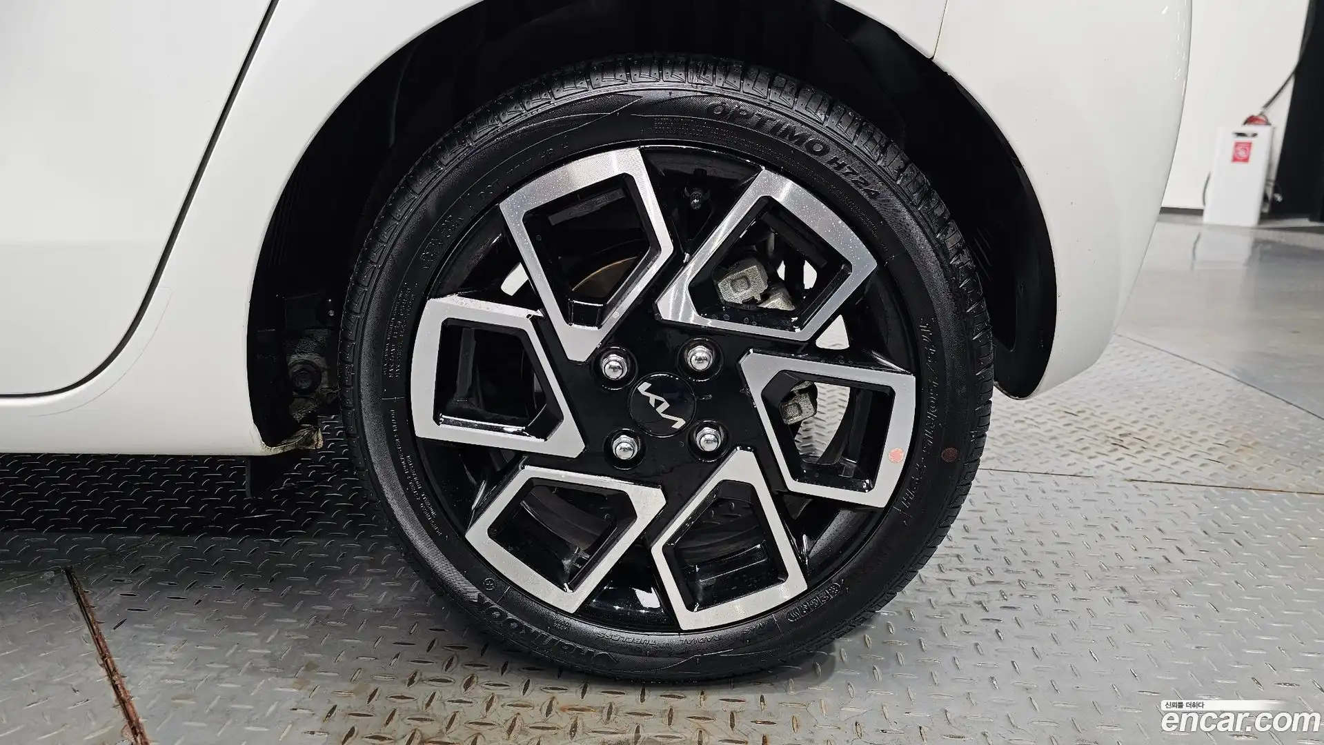 RAY Kia 2024.6-OUTER-031