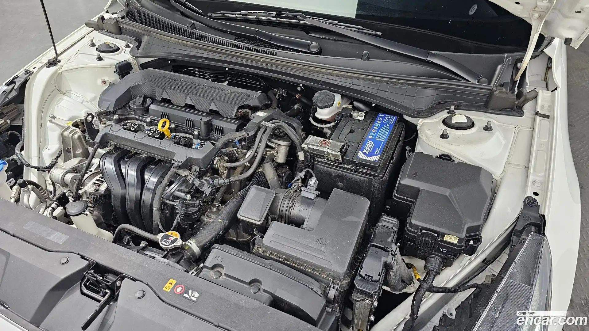 AVANTE Hyundai 2022.3-OUTER-006