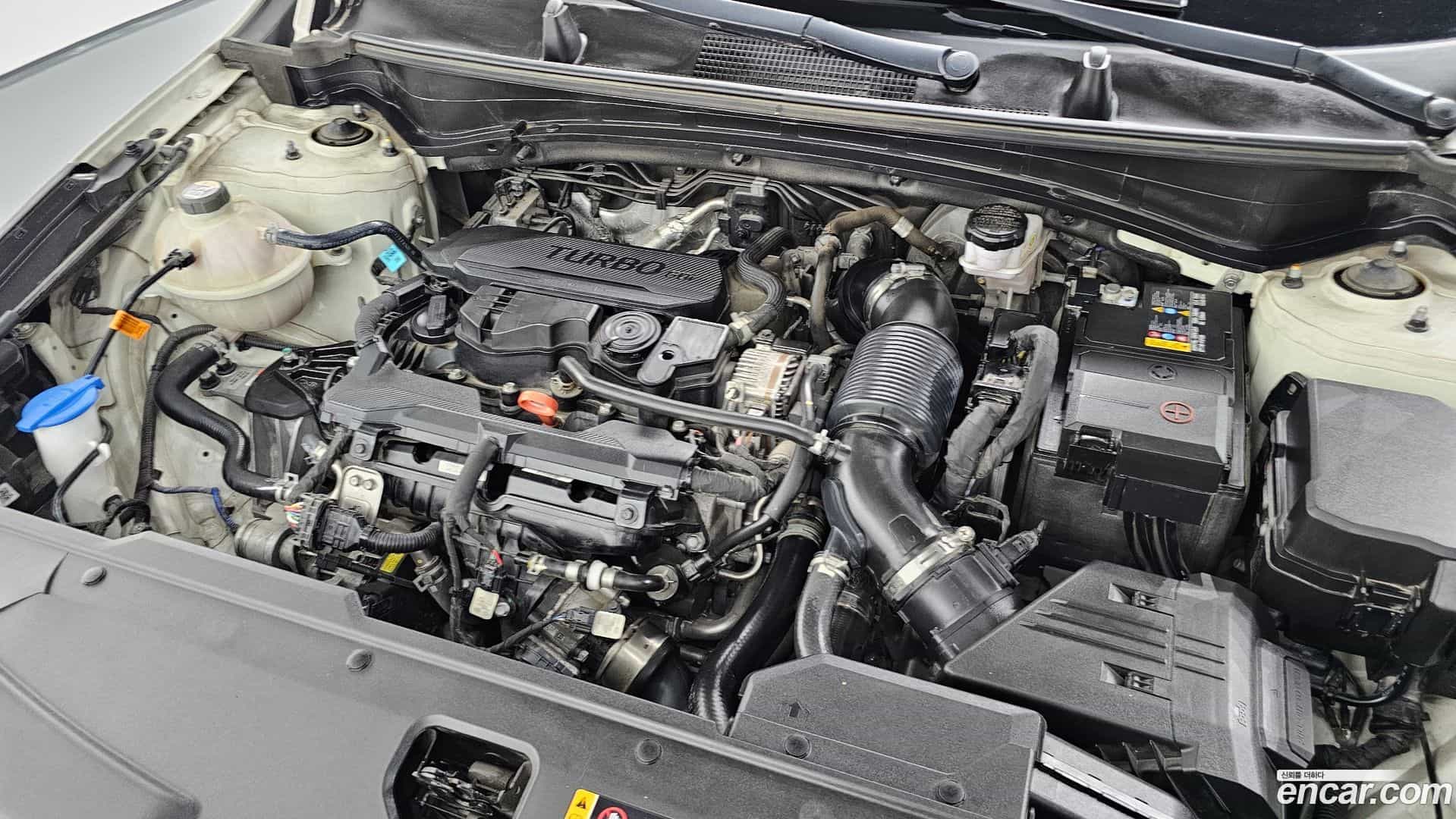 Sportage Kia 2021.8-OUTER-006