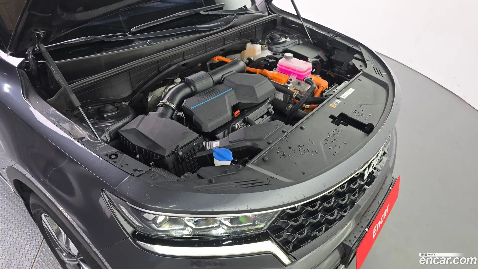 Sorento Kia 2023.5-OUTER-006