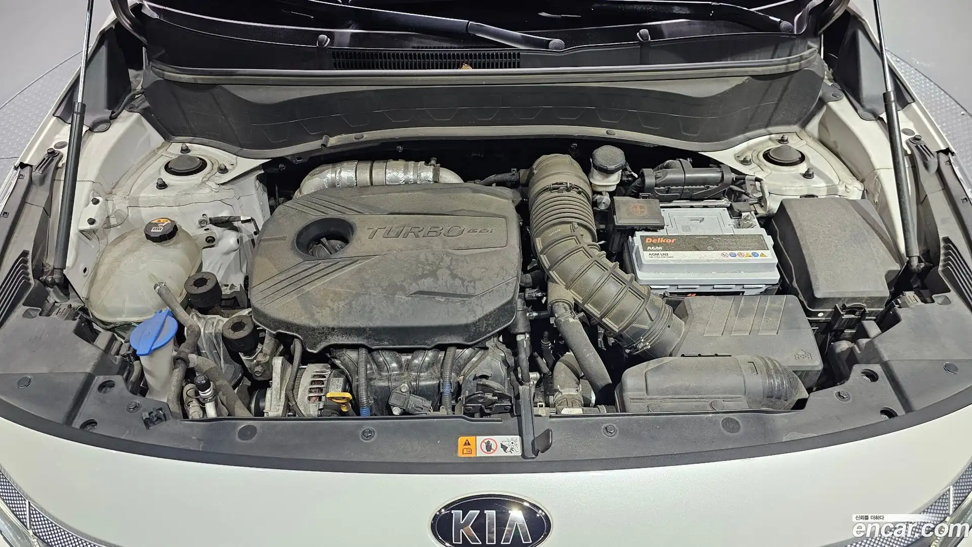 Seltos Kia 2019.9-OUTER-006