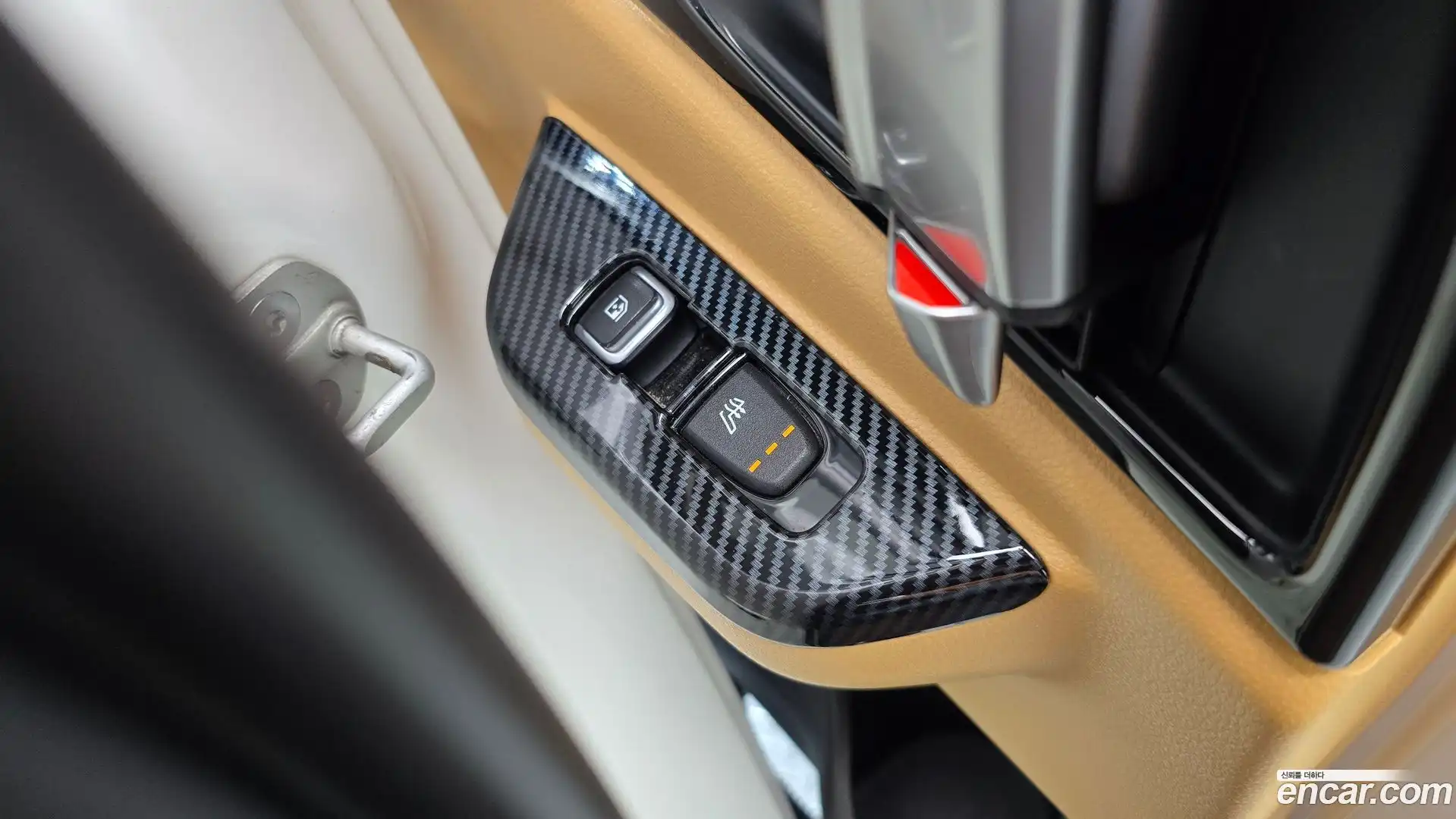 Canival Kia 2020.8-OPTION-024