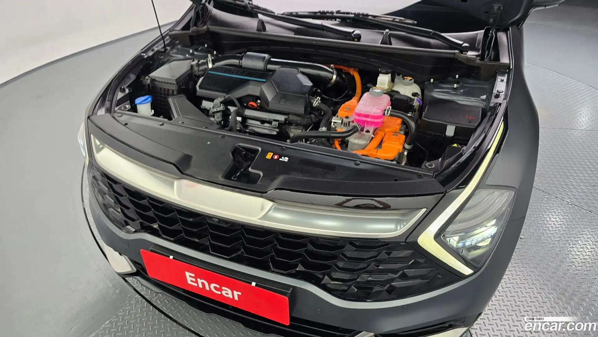 Sportage Kia 2022.8-OUTER-006