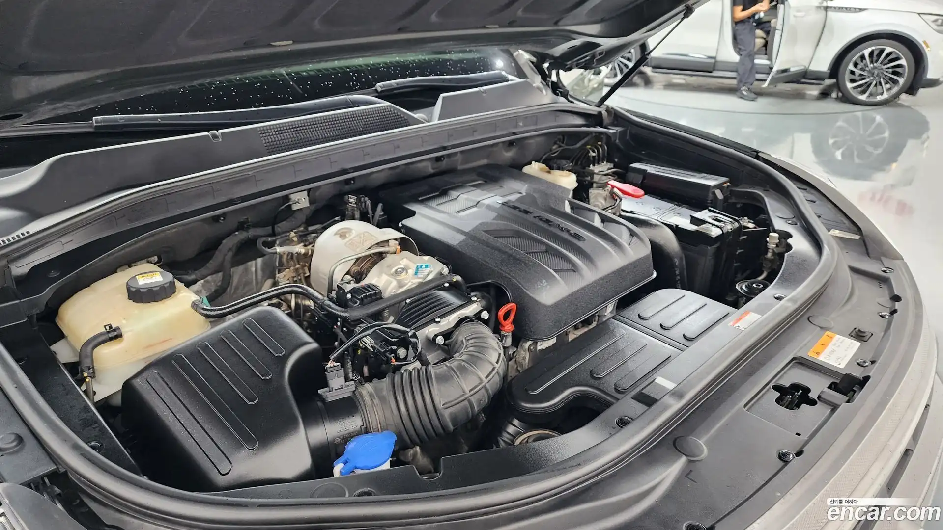 Rexton KG Mobility 2022.5-OUTER-006