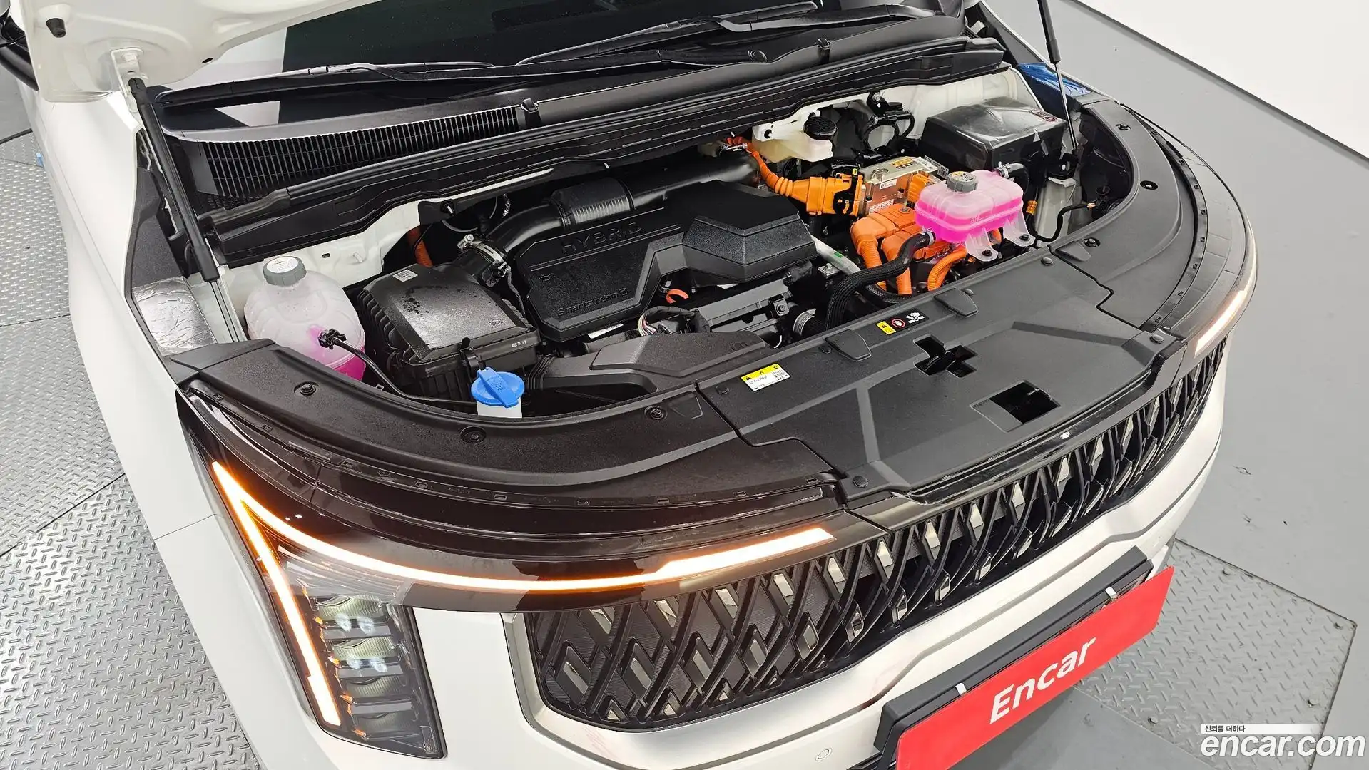 Canival Kia 2025.4-OUTER-006