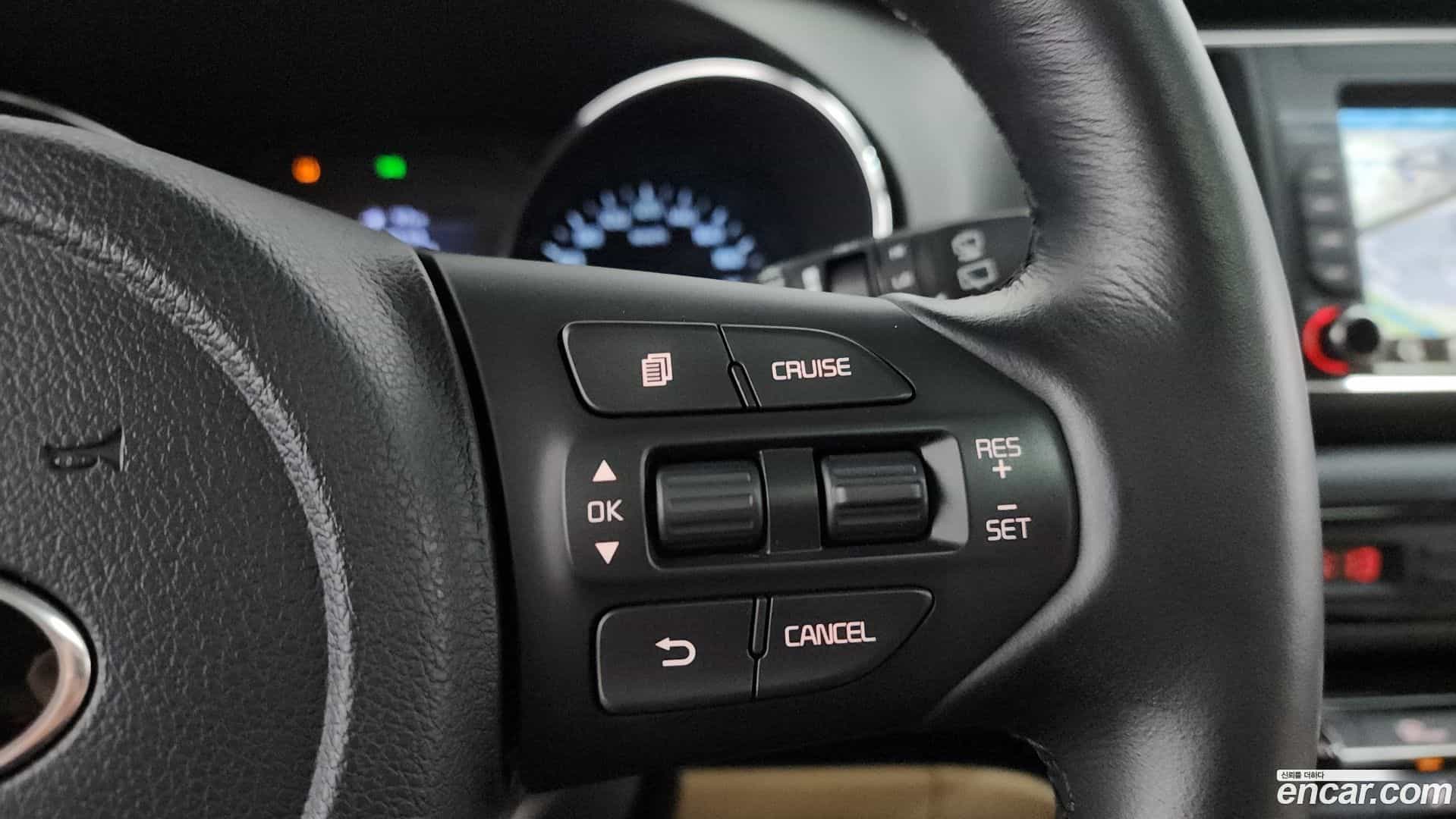 Canival Kia 2018.5-OPTION-019