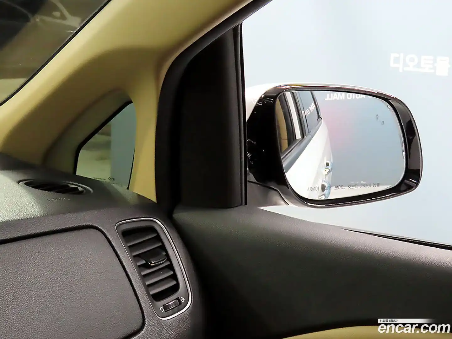 Canival Kia 2018.11-OPTION-020