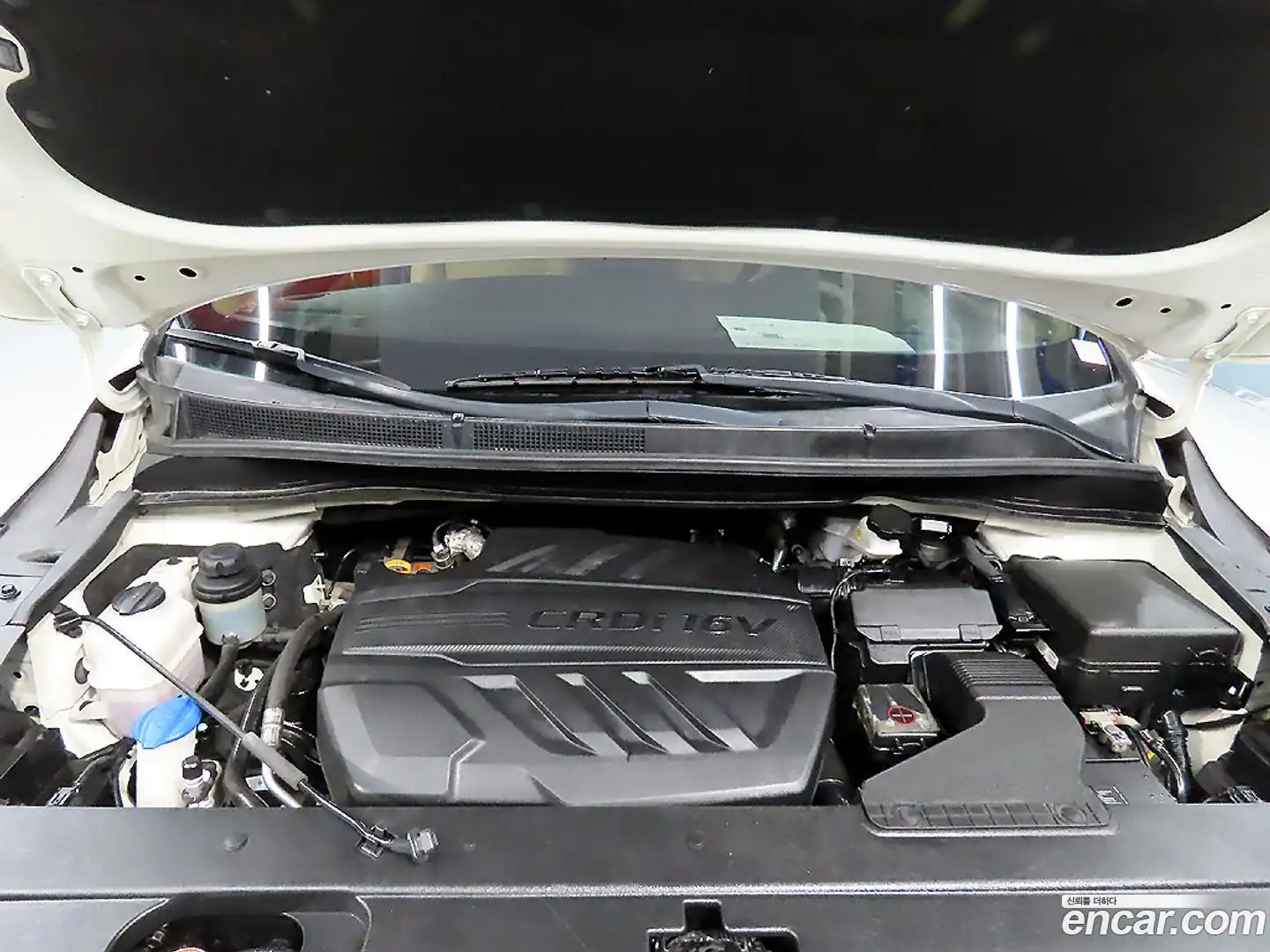 Canival Kia 2018.11-OPTION-024