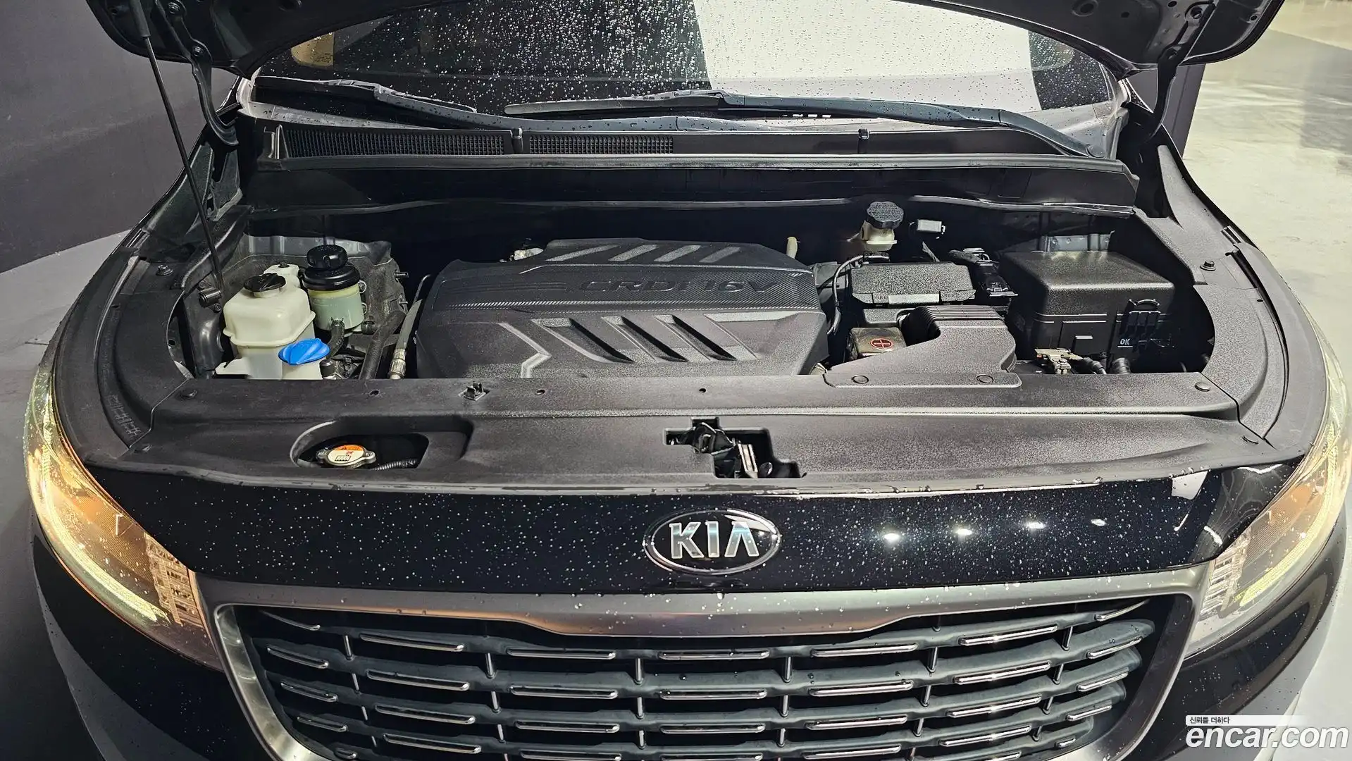 Canival Kia 2018.6-OUTER-006