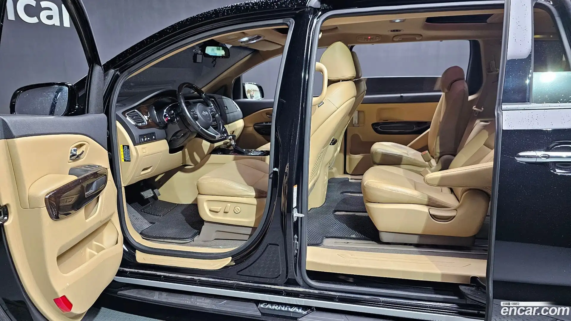 Canival Kia 2018.6-OPTION-043