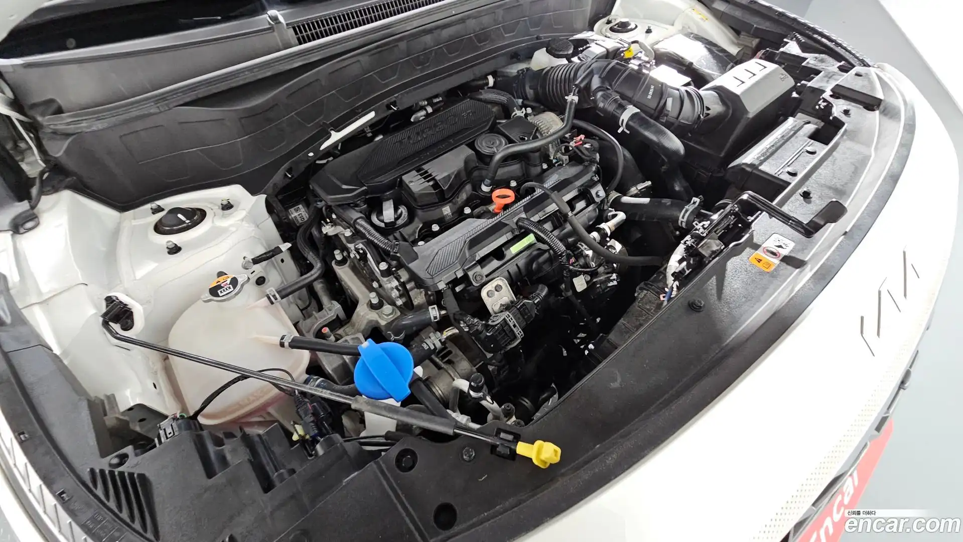 Seltos Kia 2024.9-OUTER-006