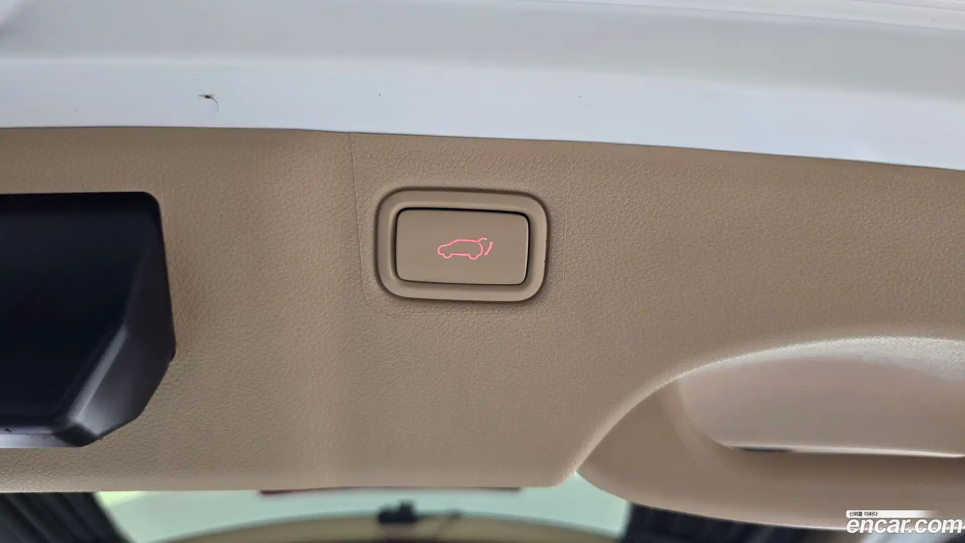 Canival Kia 2019.0-OPTION-021