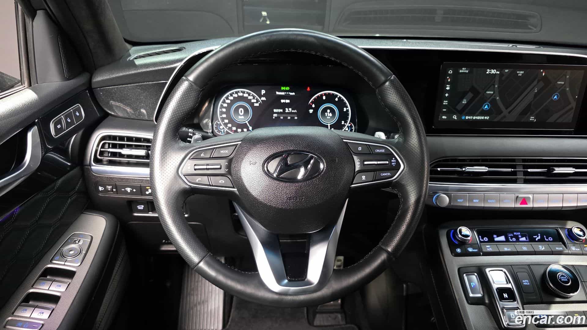 Palisade Hyundai 2021.4-OPTION-016