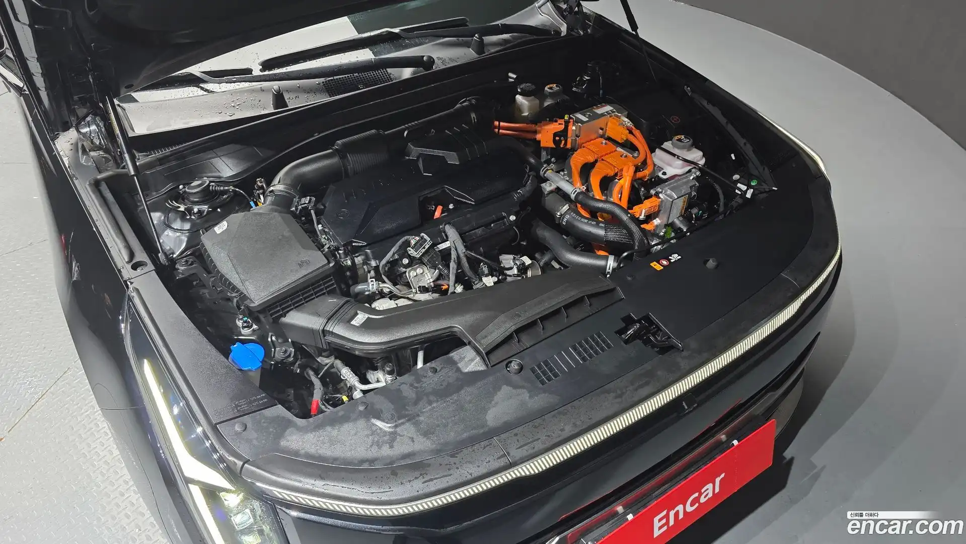 K8 Kia 2025.4-OUTER-006