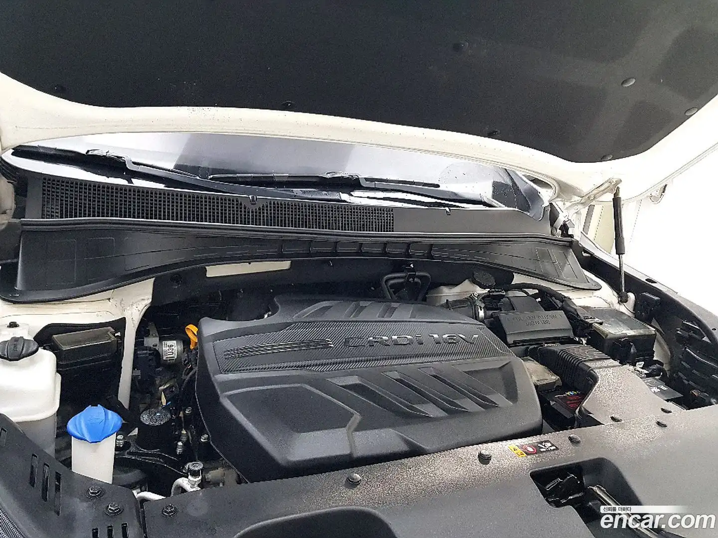 Sorento Kia 2019.5-OUTER-006