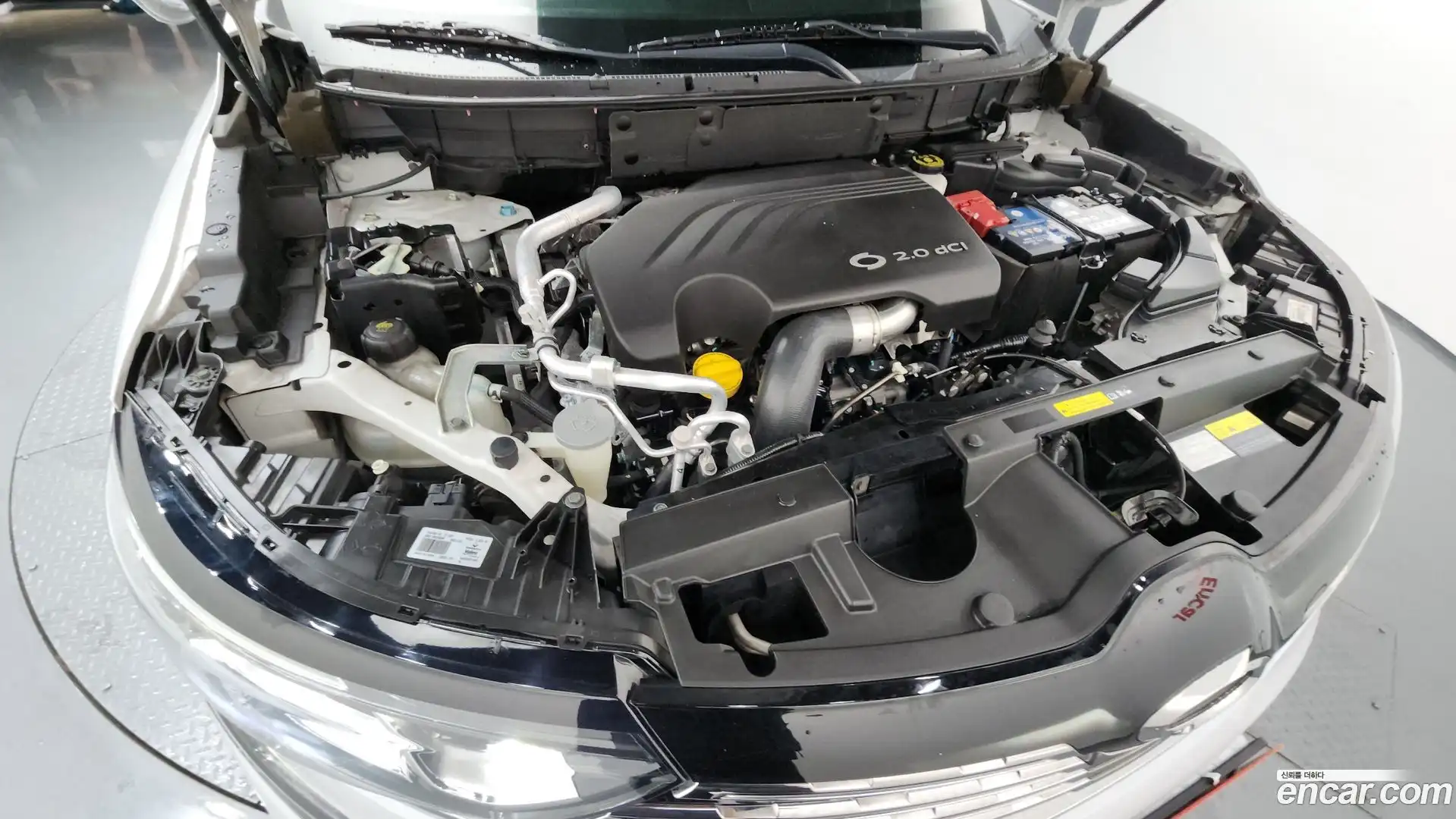 QM6 Renault Korea 2019.2-OUTER-006