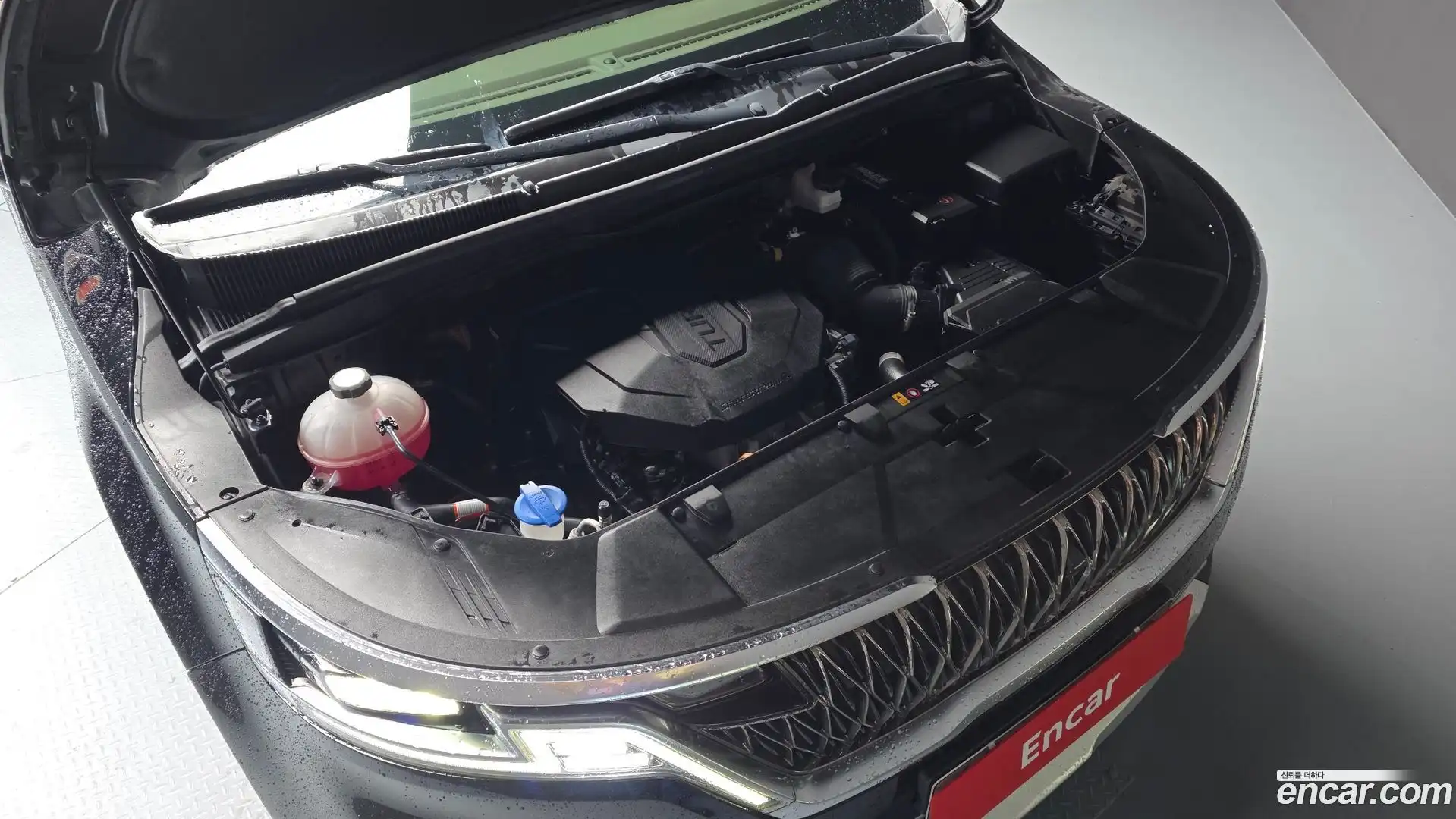 Canival Kia 2021.3-OUTER-006
