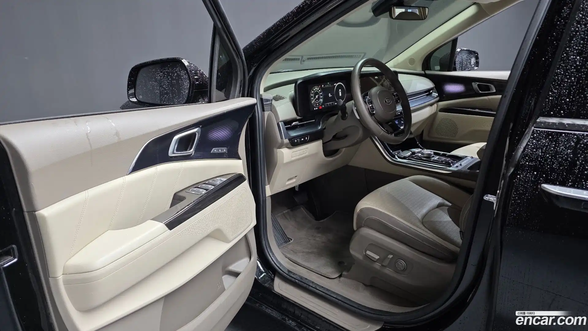 Canival Kia 2021.3-INNER-010