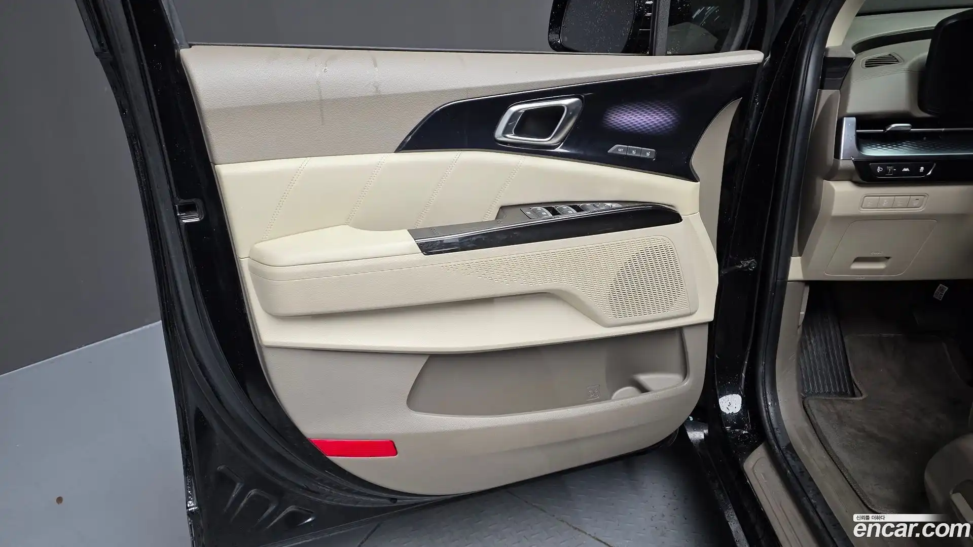 Canival Kia 2021.3-INNER-034