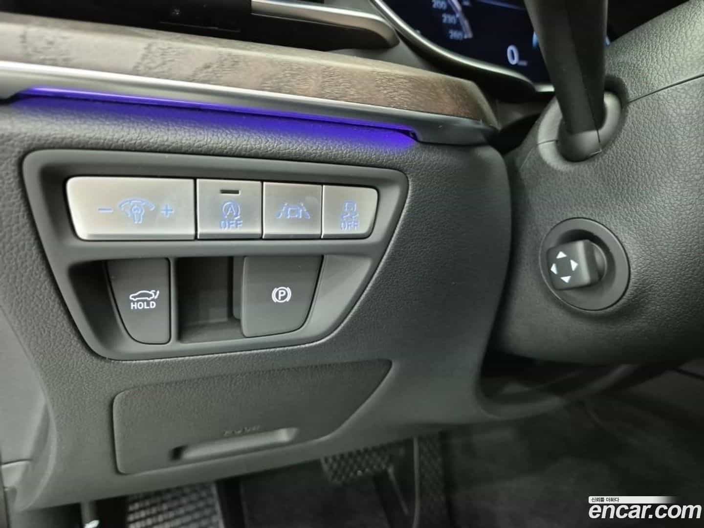 G80 Genesis 2020.8-OPTION-022