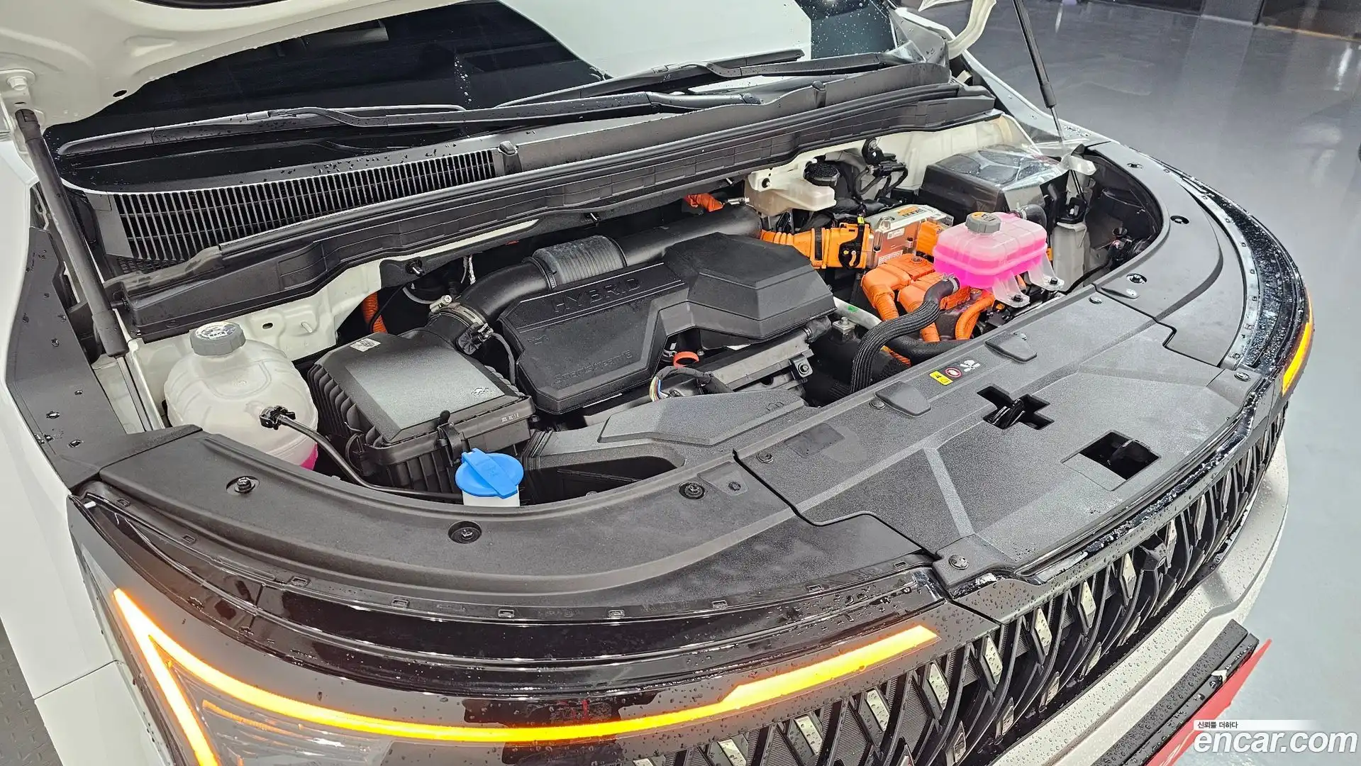 Canival Kia 2025.1-OUTER-006