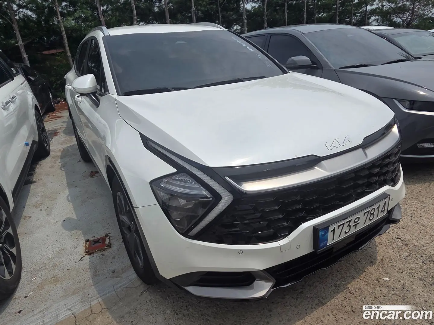 Main__Slider__Photo:Sportage Kia 2022.3-0