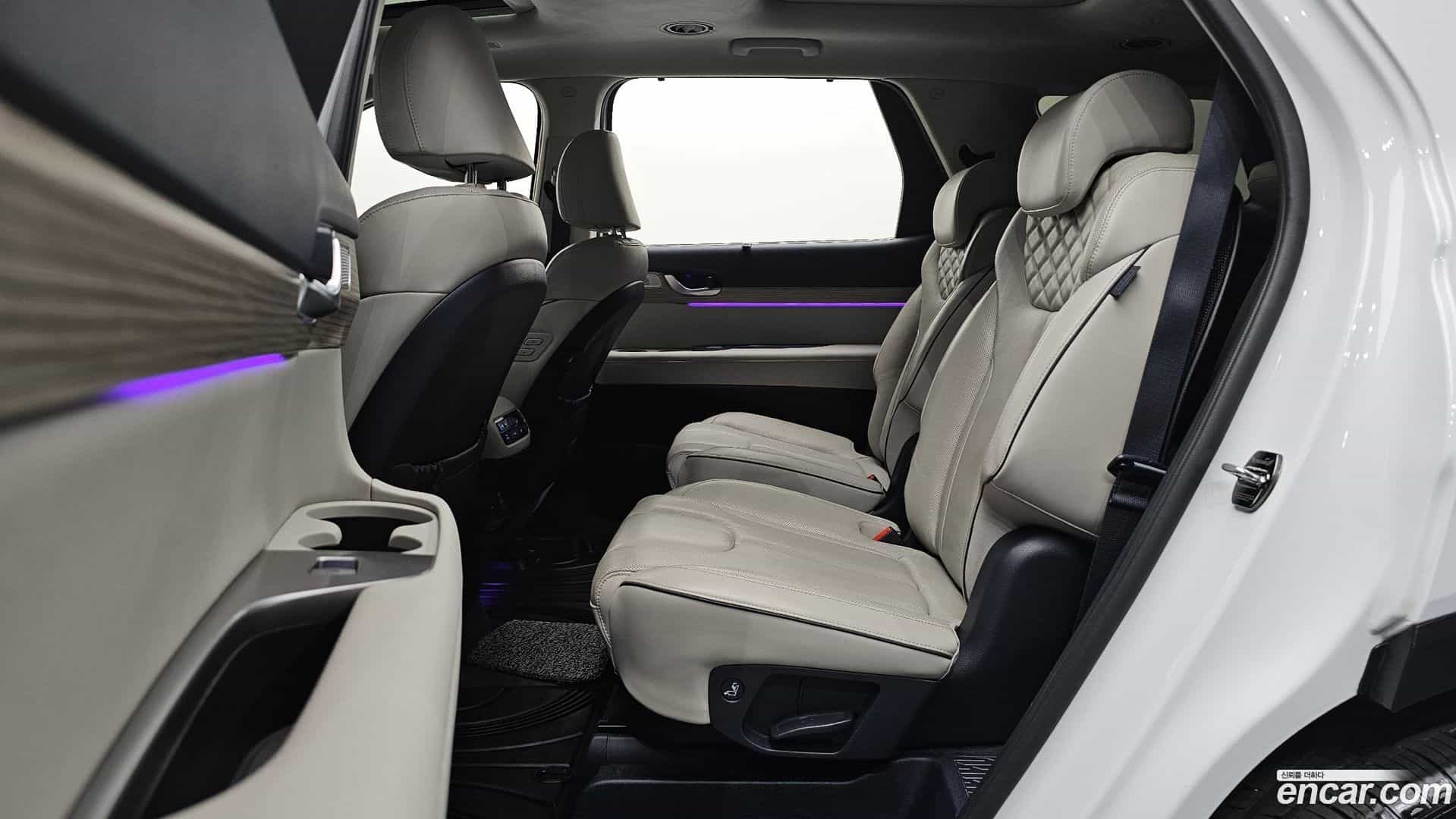Palisade Hyundai 2020.0-OPTION-015