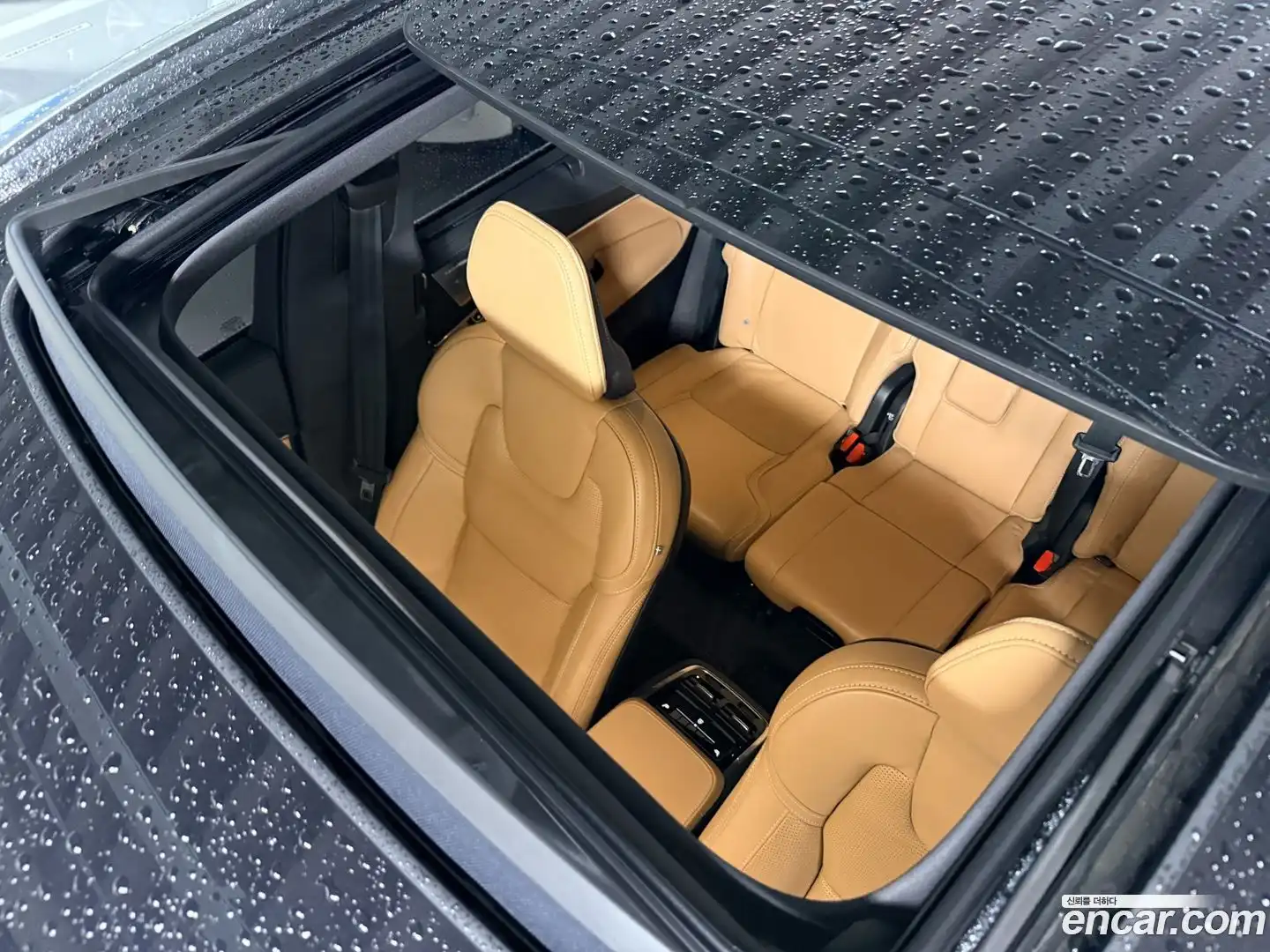 XC90 Volvo 2024.2-OPTION-021