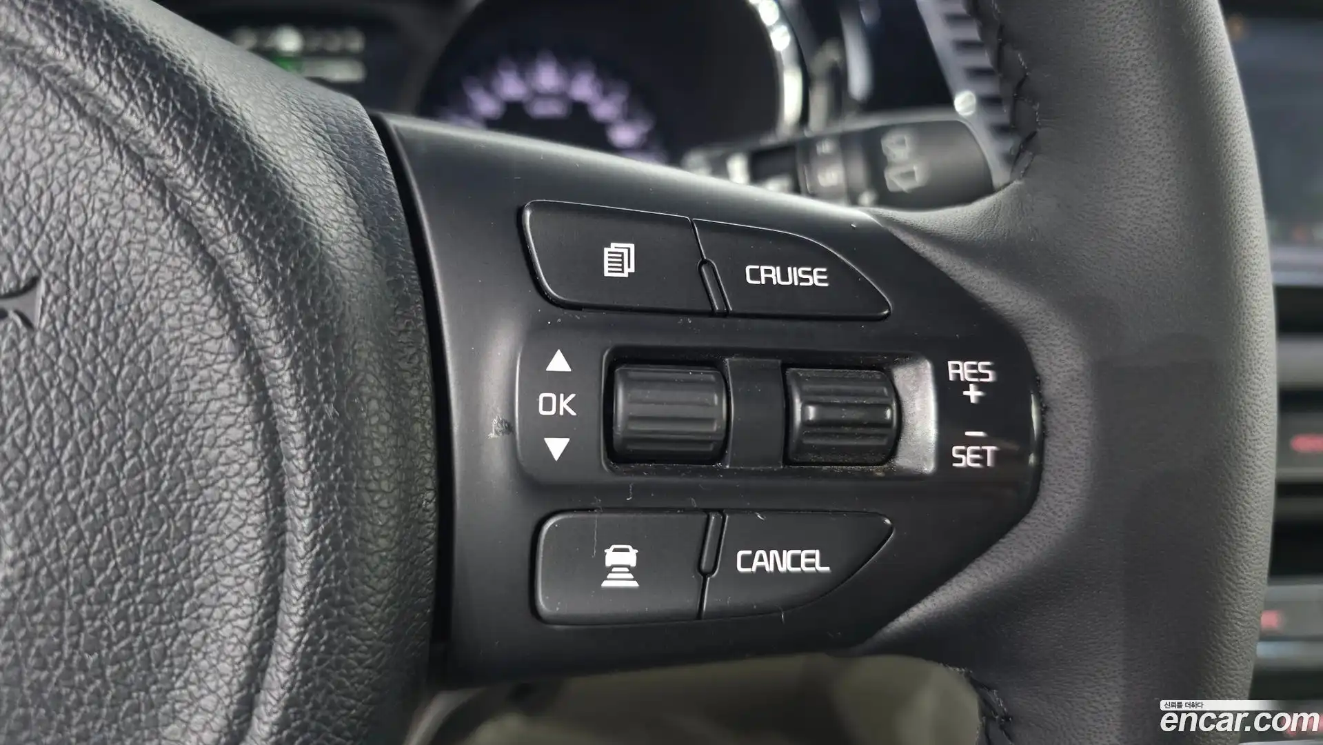 Canival Kia 2017.8-OPTION-022