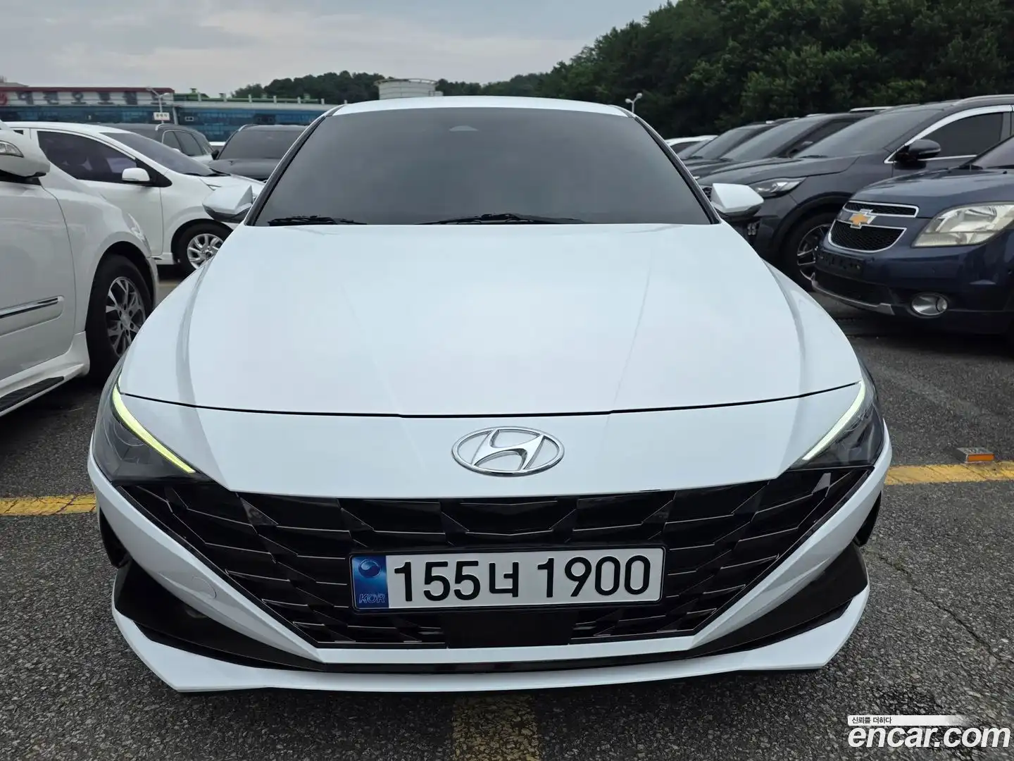 AVANTE Hyundai 2022.4-OUTER-003