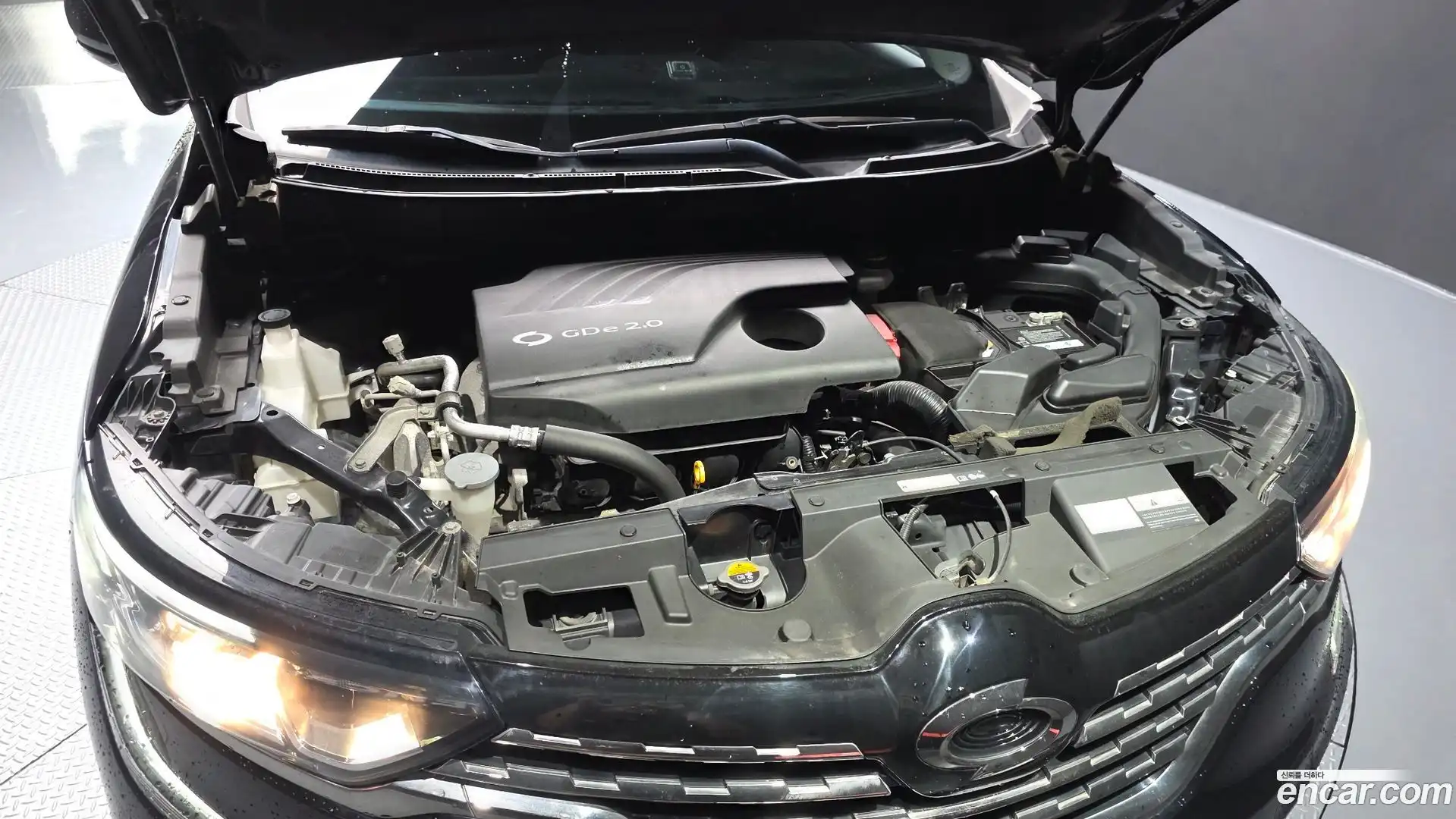 QM6 Renault Korea 2020.1-OUTER-006