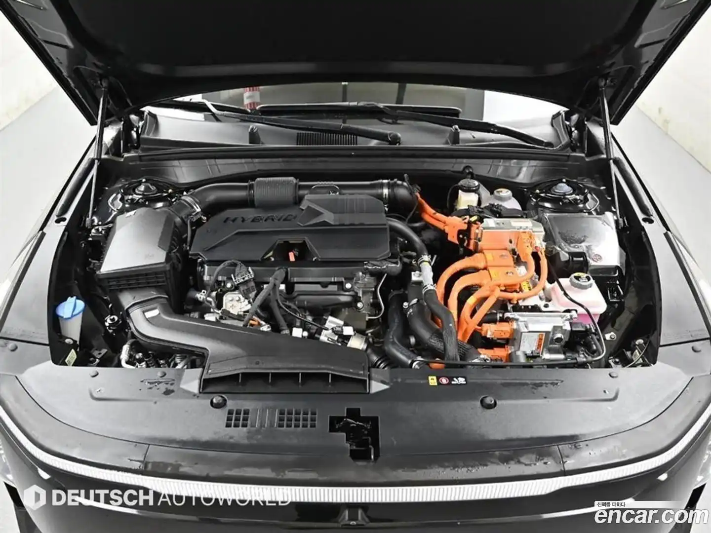K8 Kia 2025.3-OUTER-006