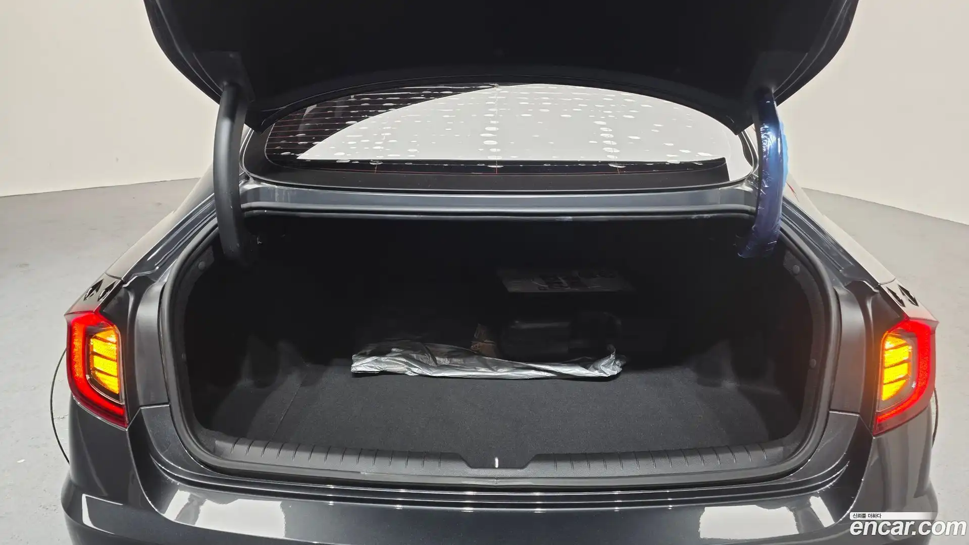 Sonata Hyundai 2021.11-OPTION-022
