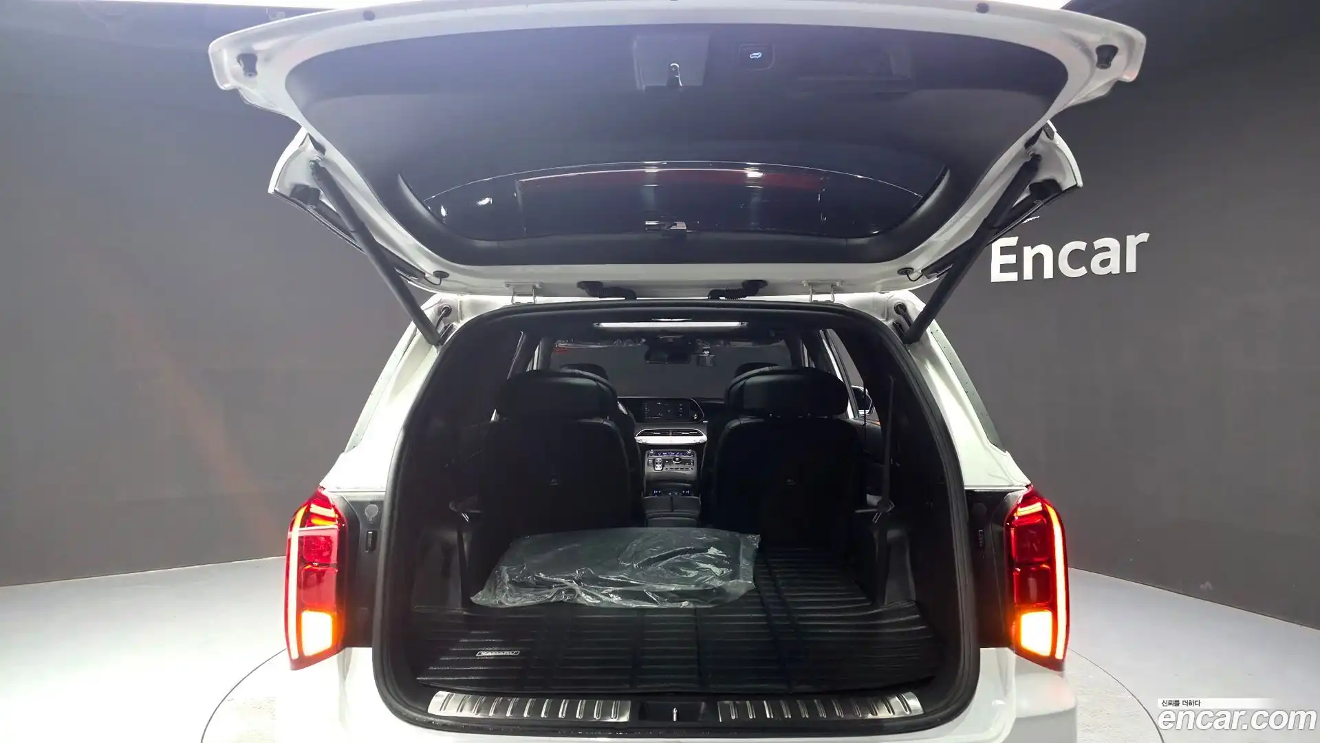 Palisade Hyundai 2021.6-OPTION-022