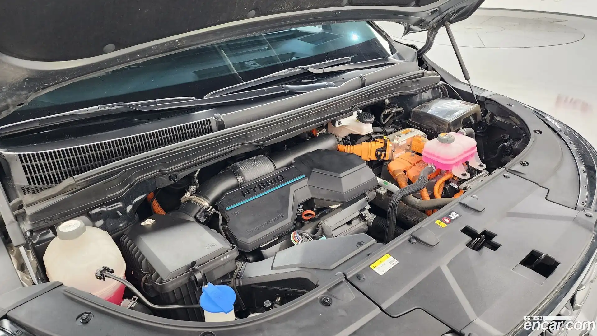 Canival Kia 2024.4-OUTER-006
