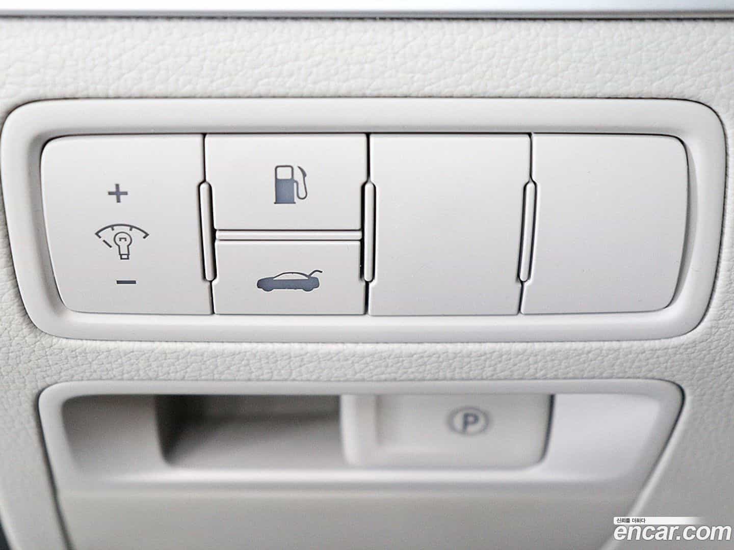 G80 Genesis 2017.5-OPTION-016