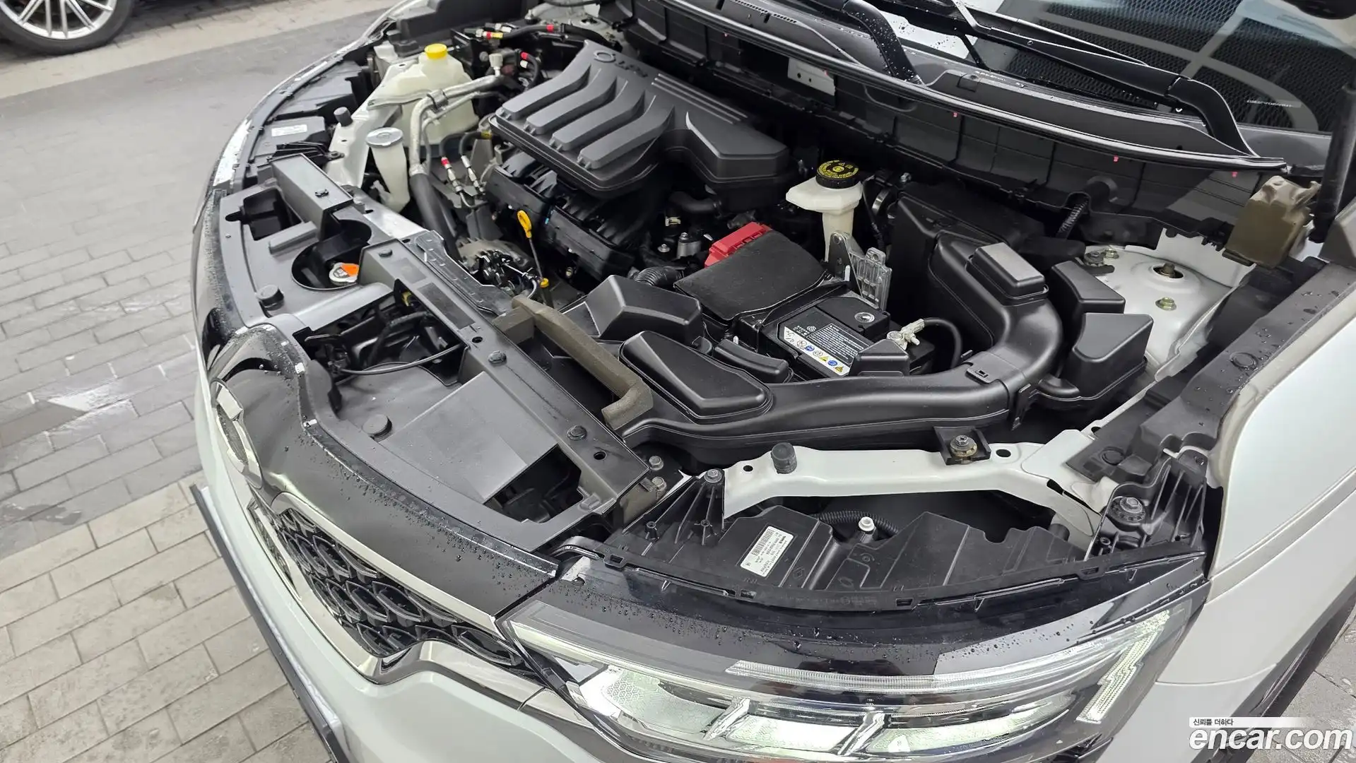 QM6 Renault Korea 2021.8-OUTER-006
