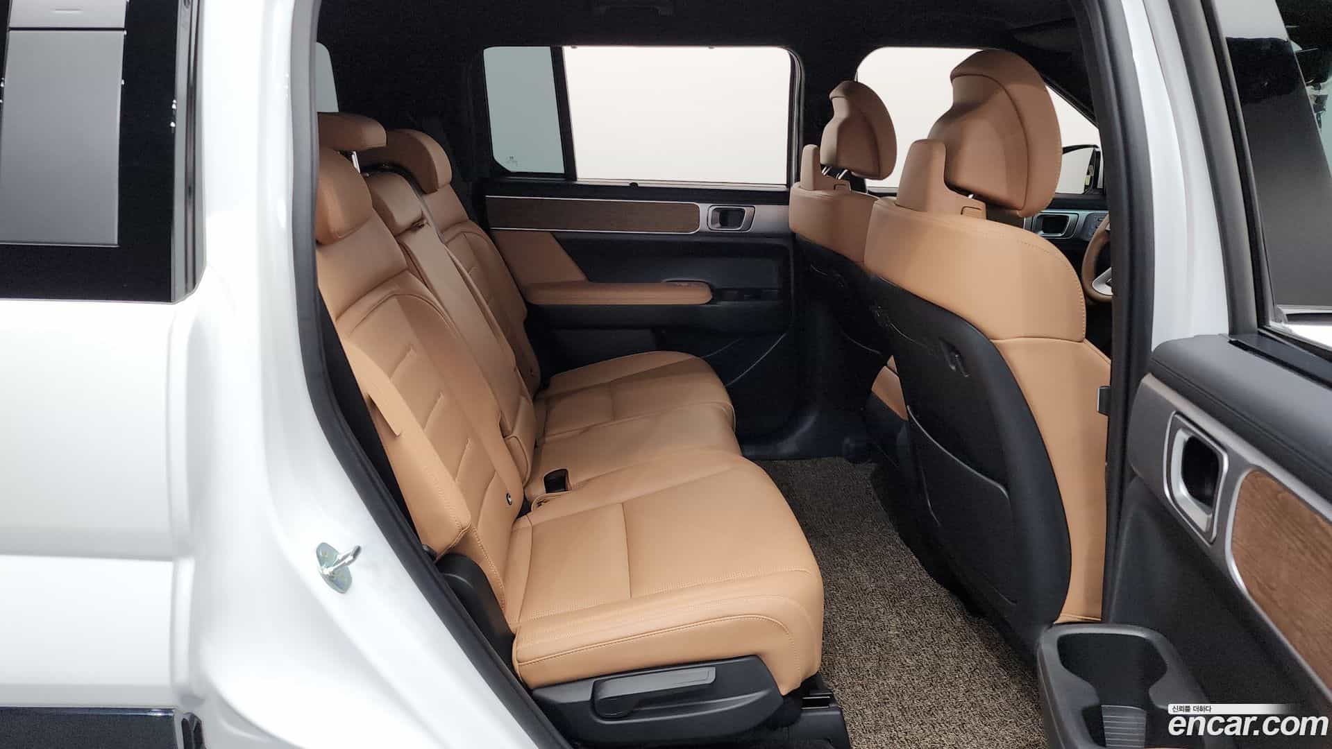 Santafe Hyundai 2024.6-OPTION-015