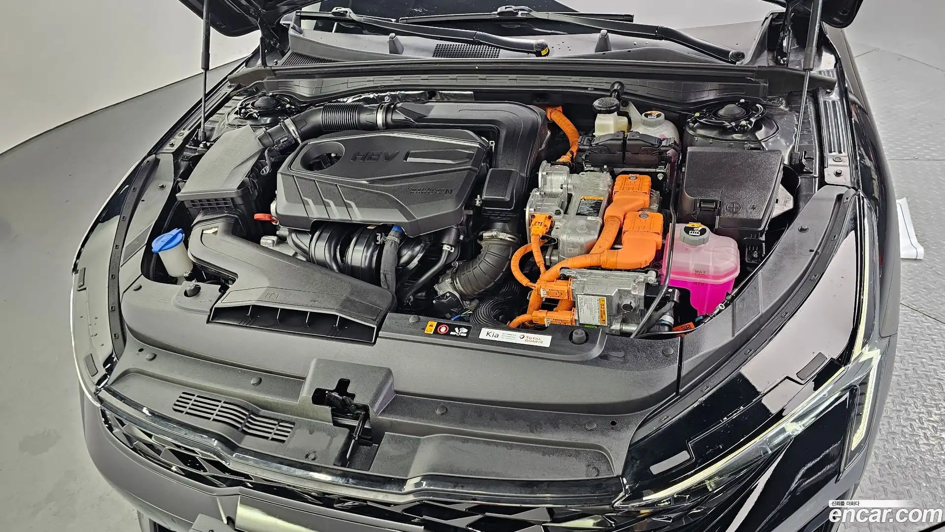 K5 Kia 2024.0-OUTER-006
