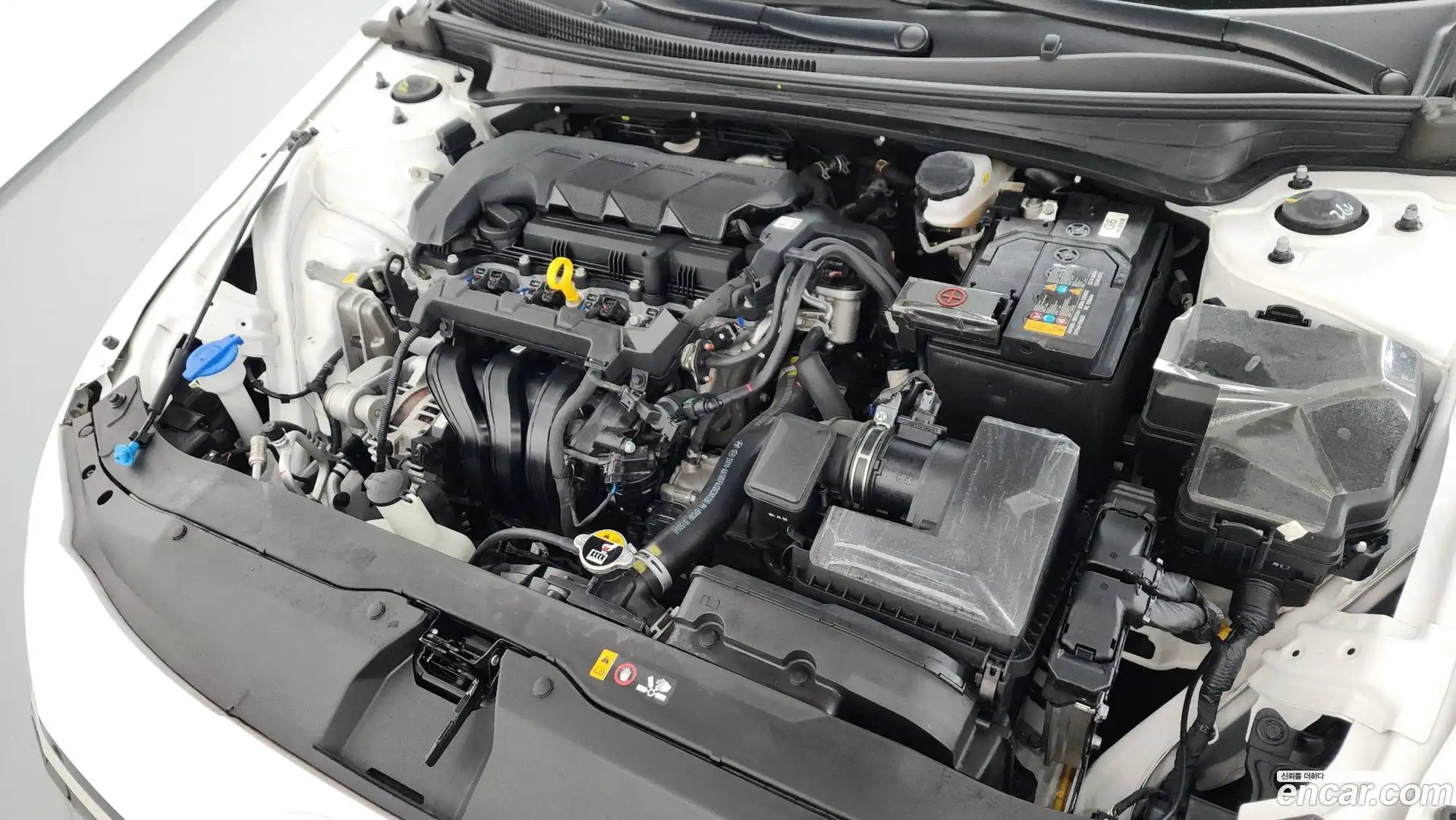 AVANTE Hyundai 2024.4-OUTER-006