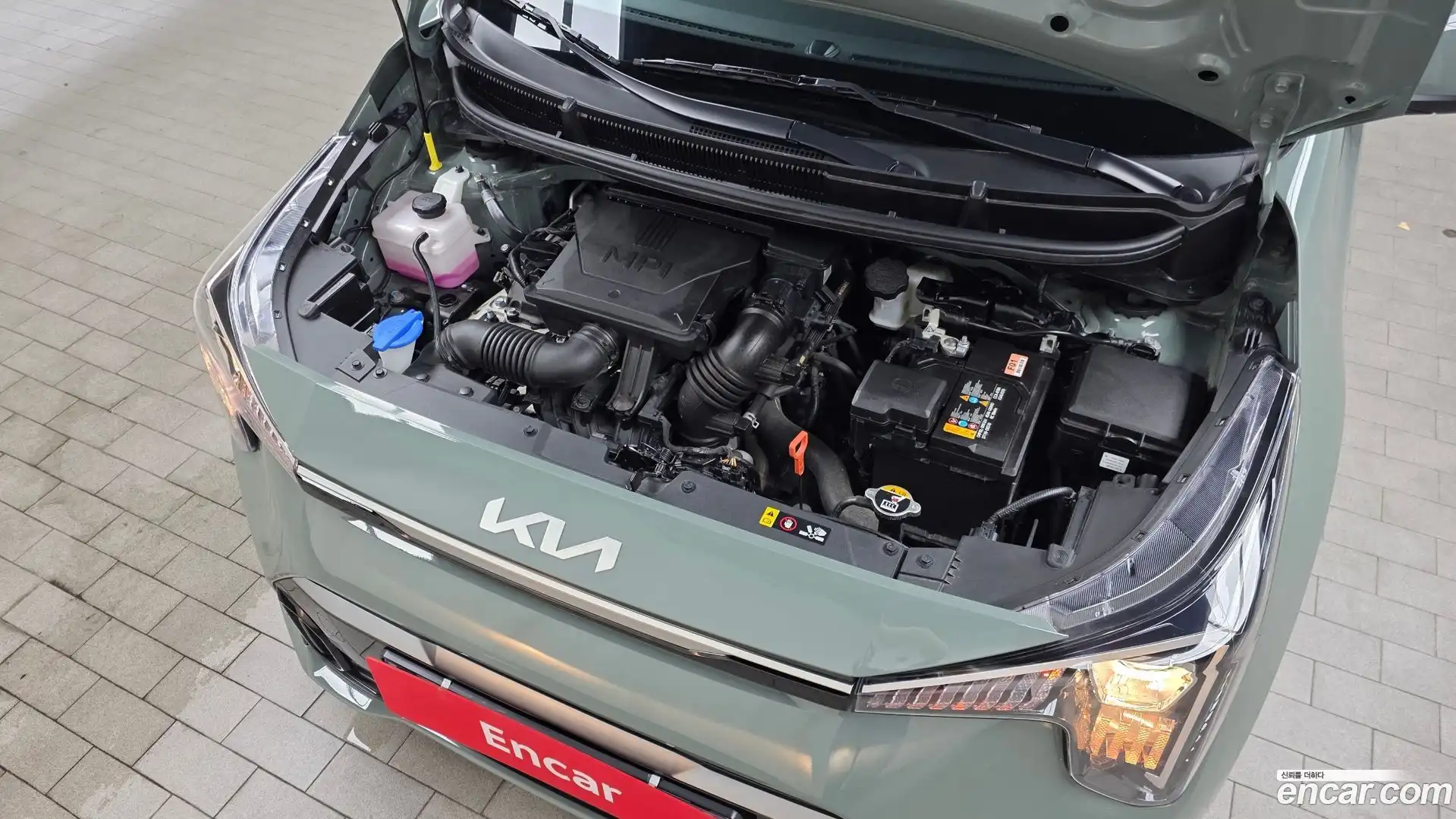 morning Kia 2024.9-OUTER-006